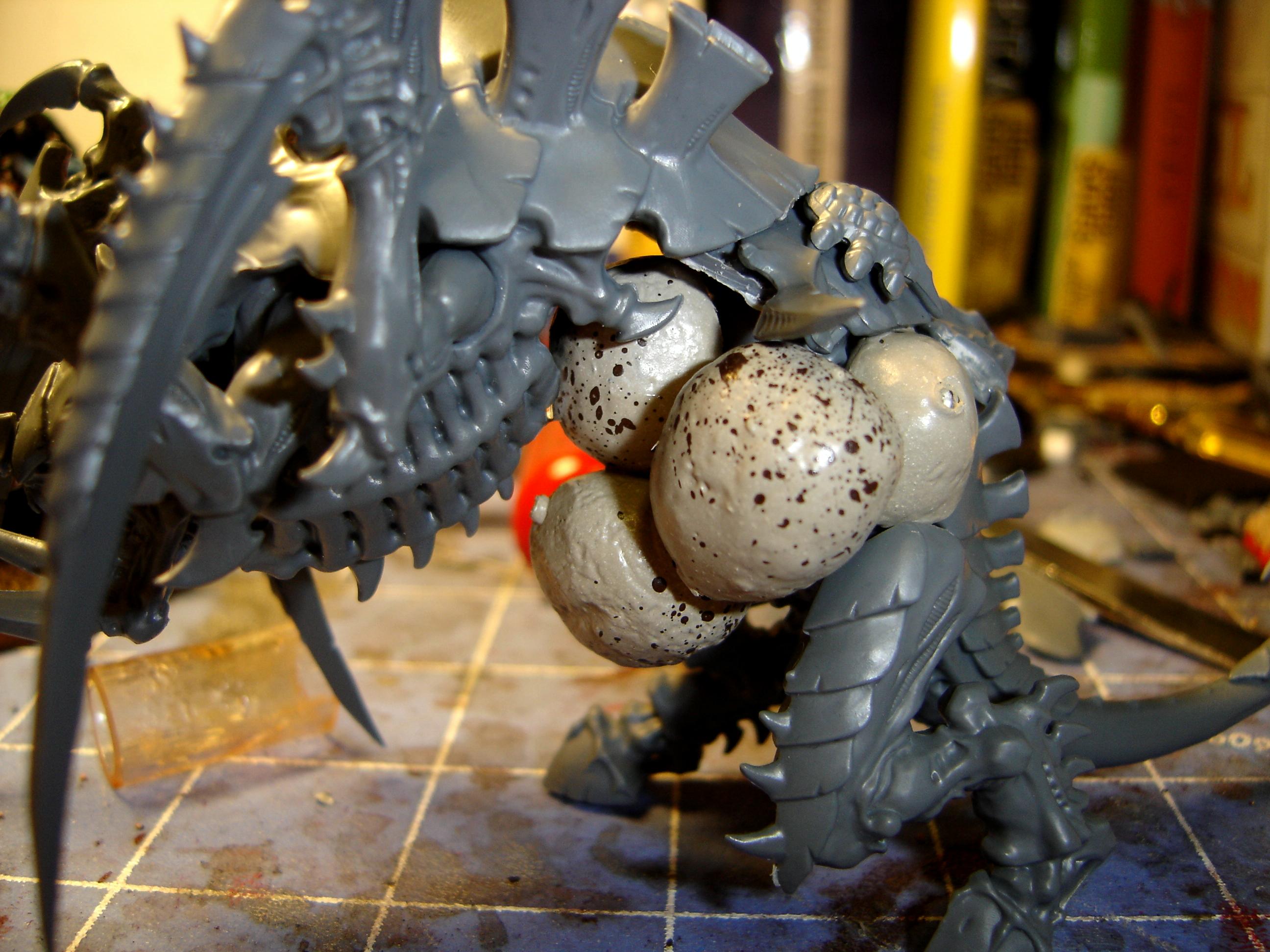 Tervigon WIP (3)