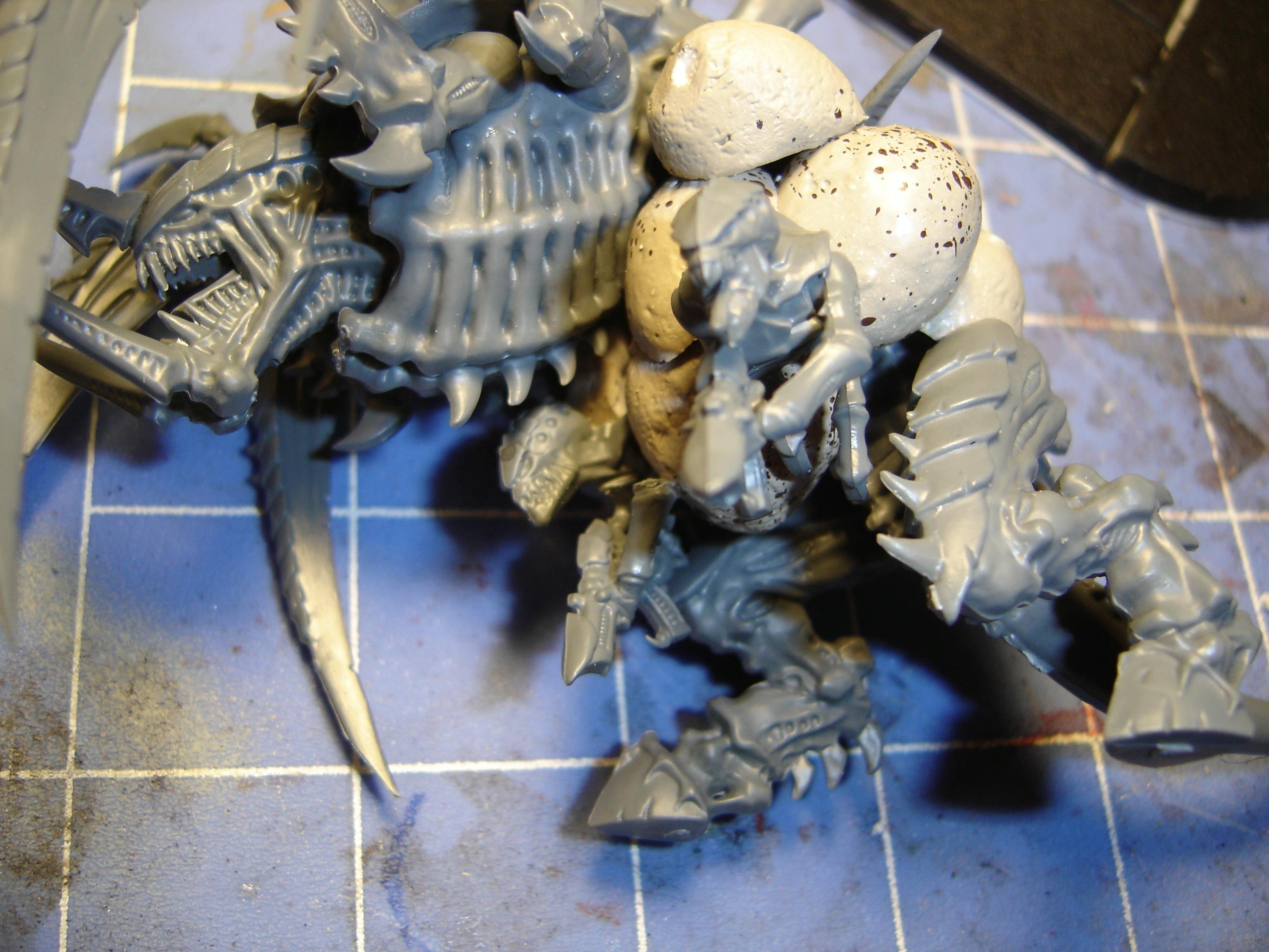 Tervigon_WIP_detail