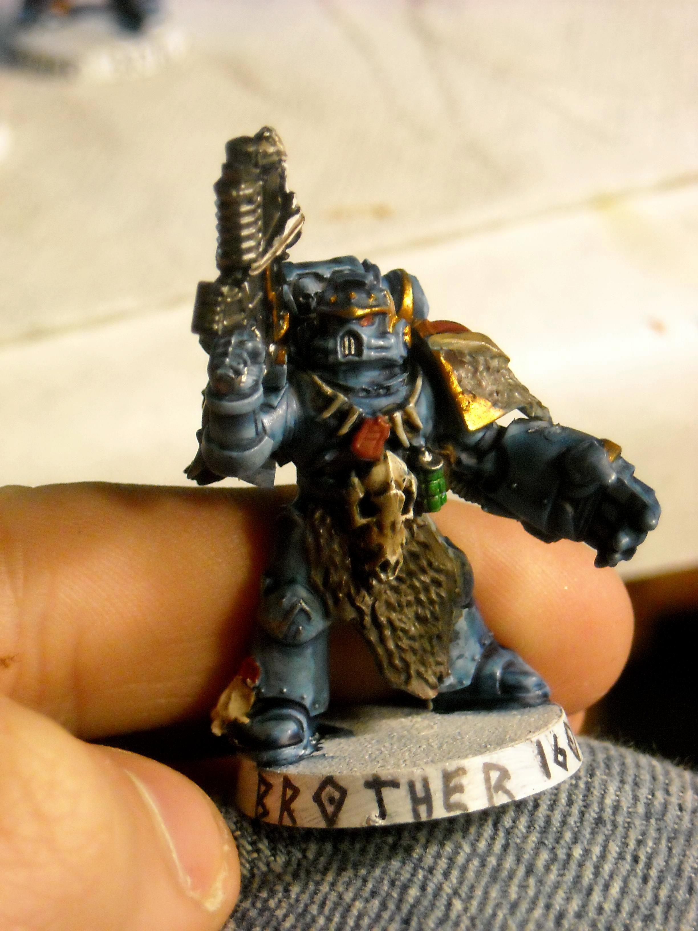 Grey Hunter, Space Wolves