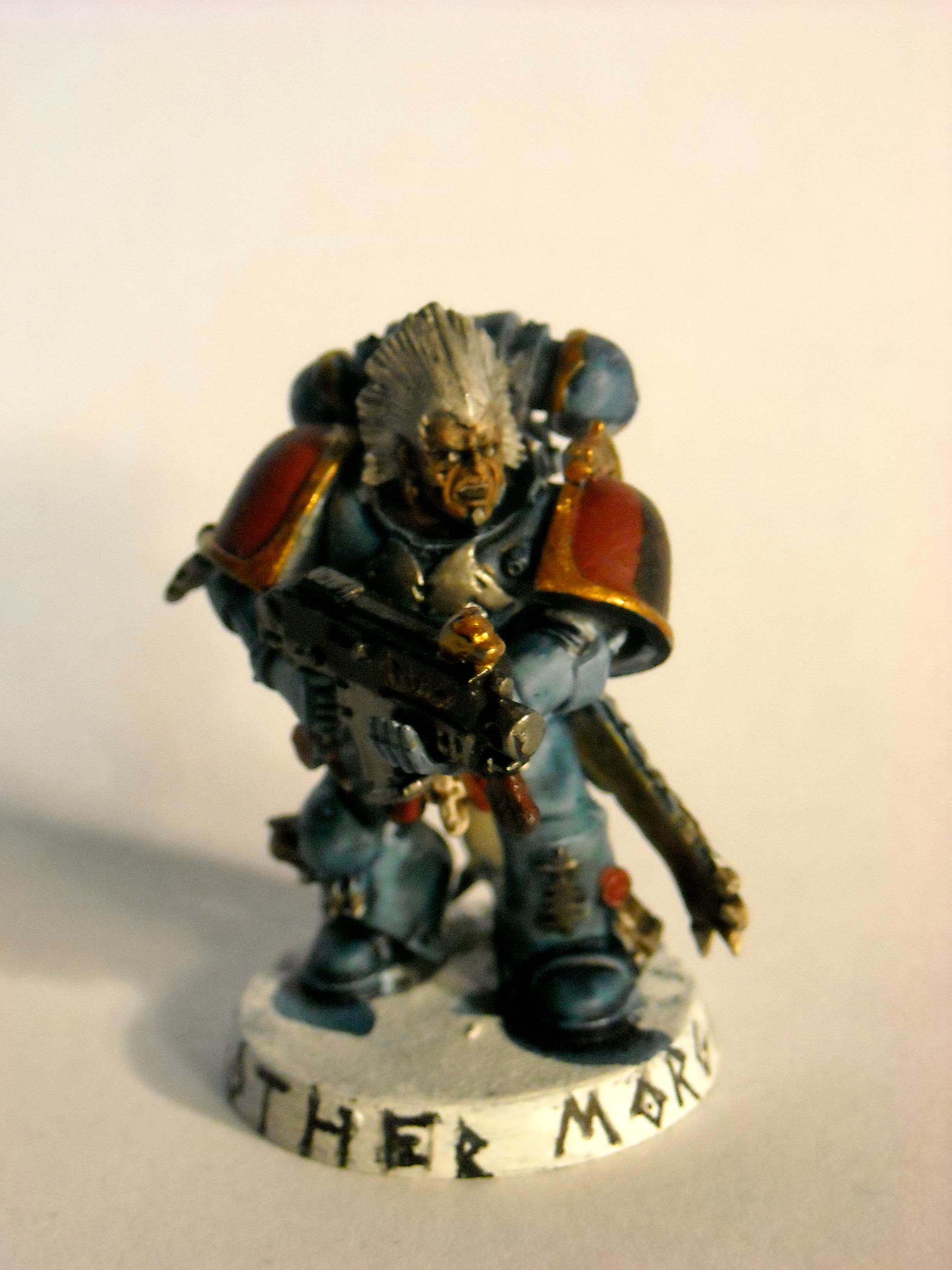 Grey Hunter, Space Wolves