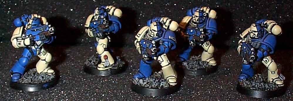 Novamarine Sgt And Specials, Novamarines