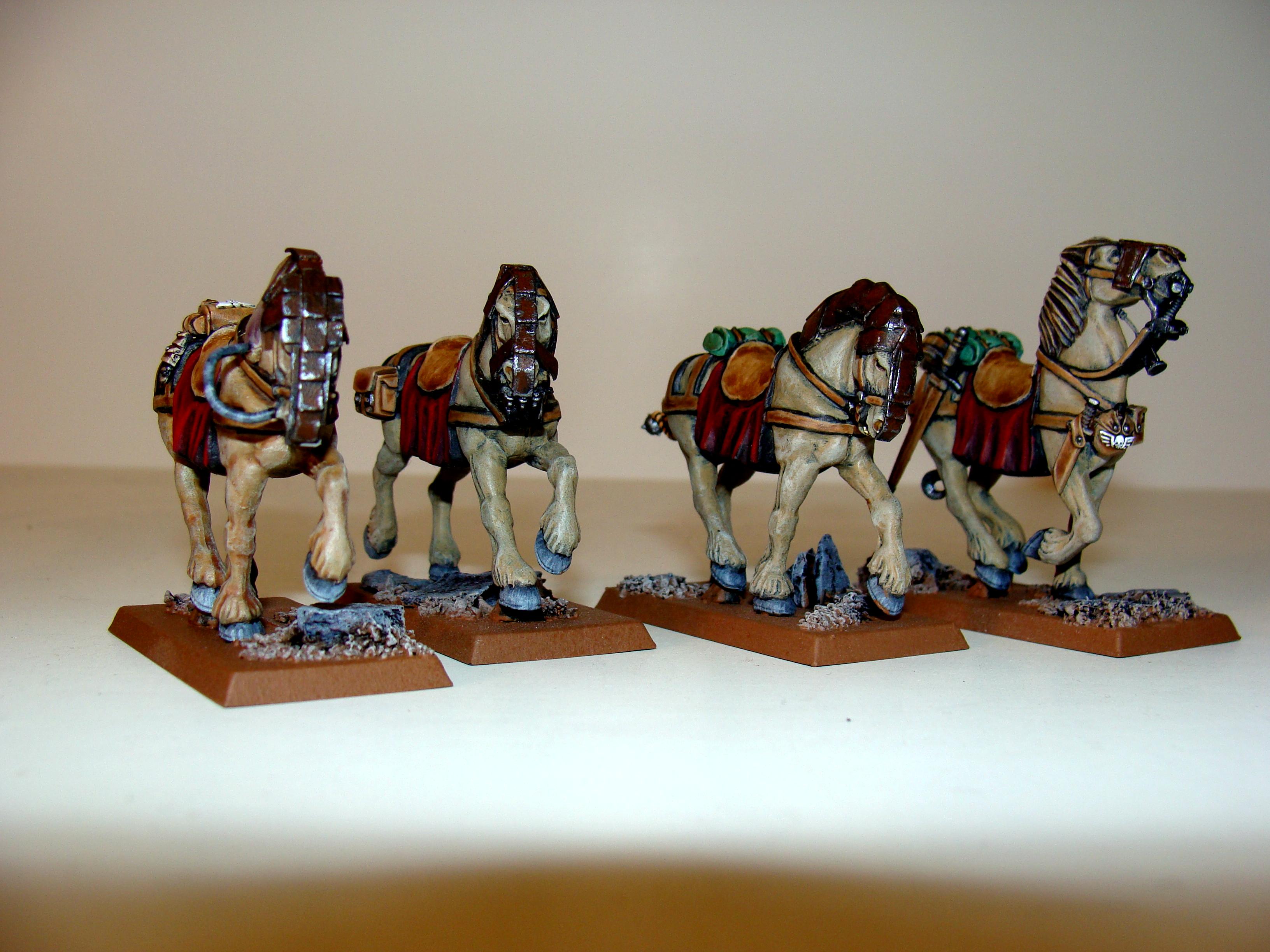 Conversion, Imperial Guard, Rough Riders, Rr, Work In Progress