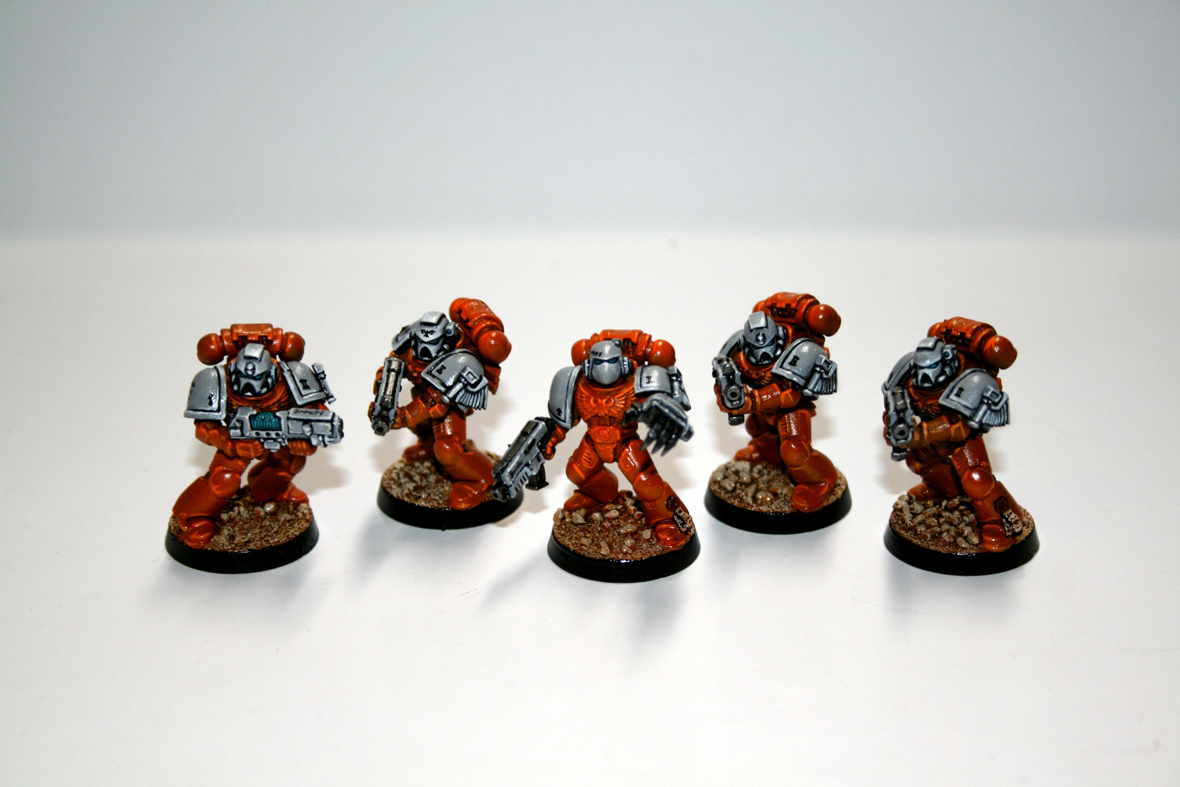 Chapter, Emperors Hammers, Own Chapter, Space Marines