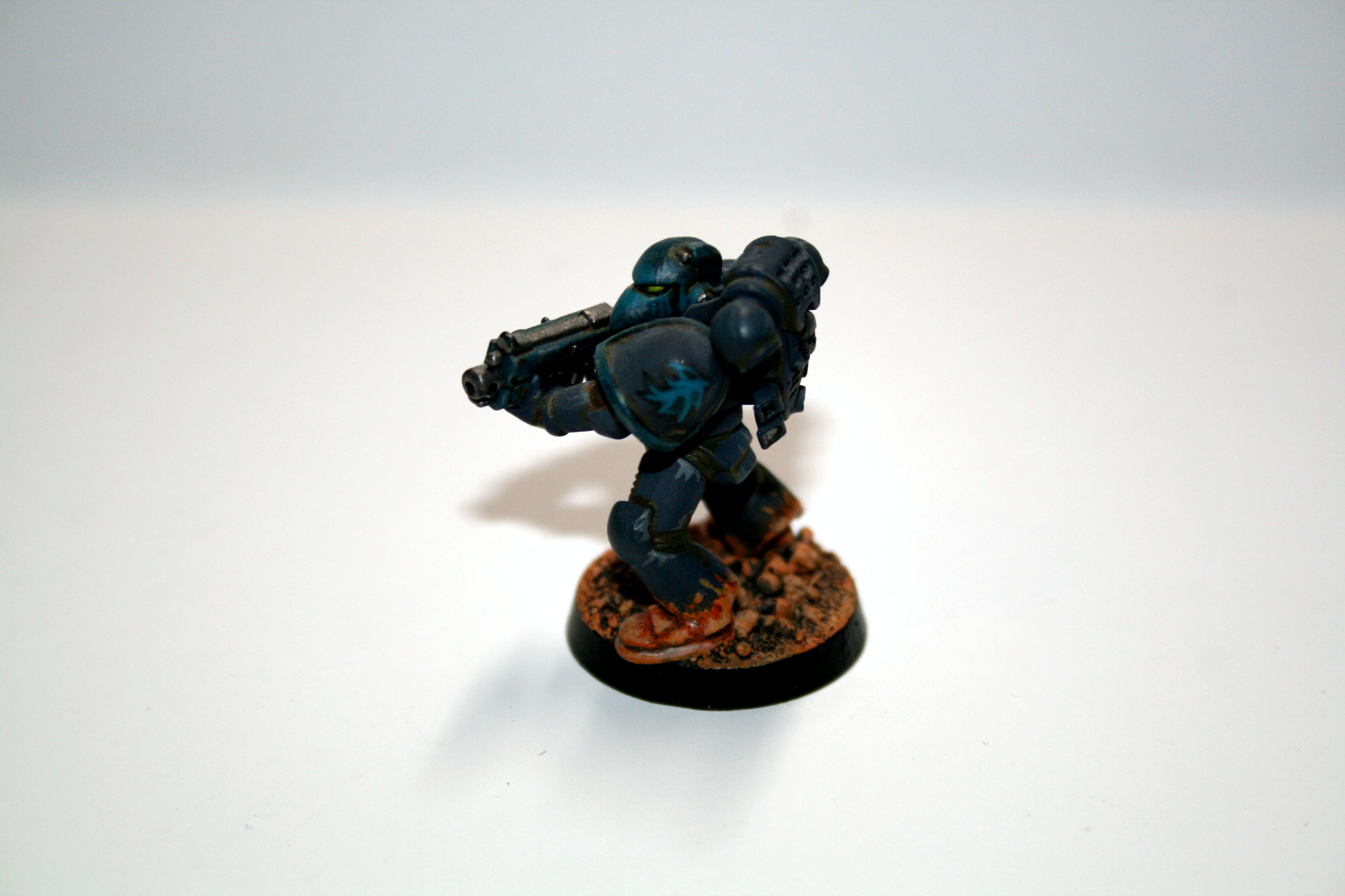 Chapter, Emperors Hammers, Own Chapter, Space Marines