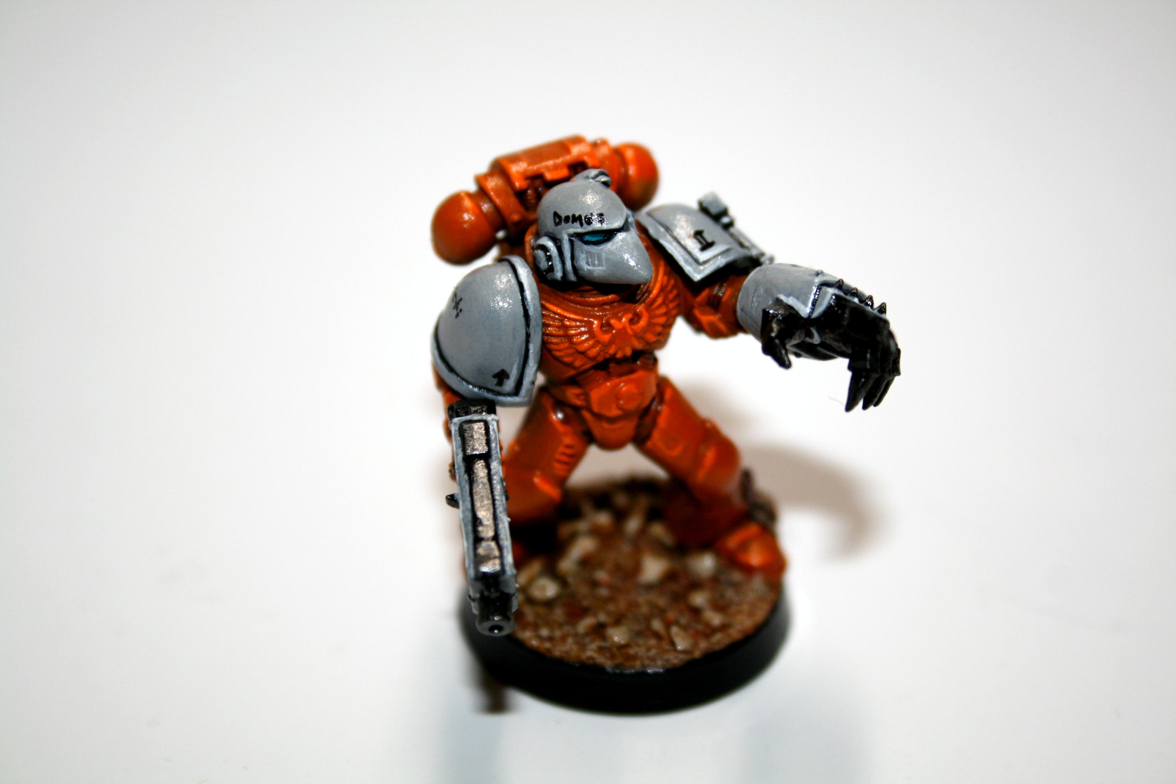 Chapter, Emperors Hammers, Own Chapter, Space Marines