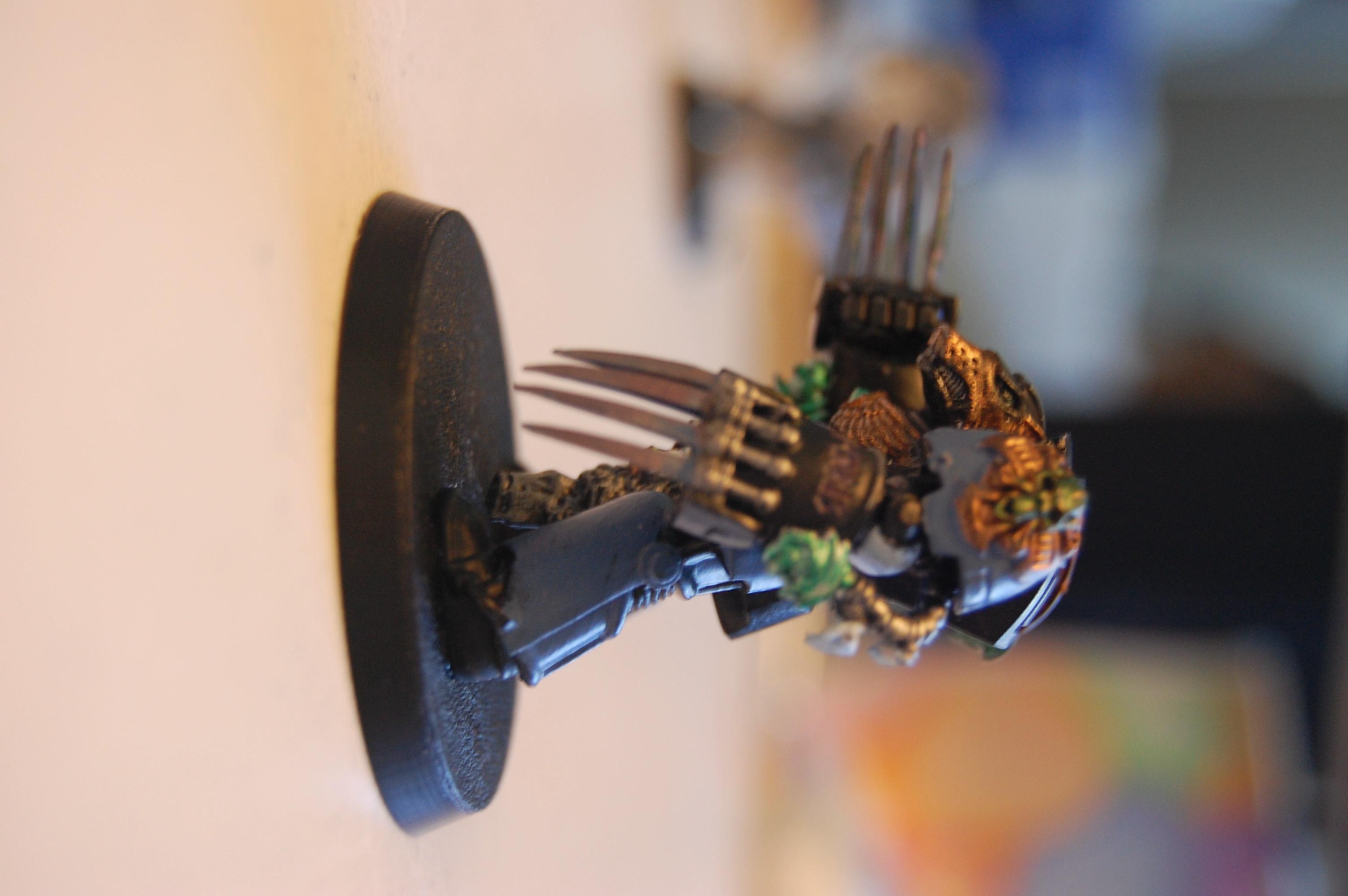 Lone Wolf, Space Wolves, Spartan5150