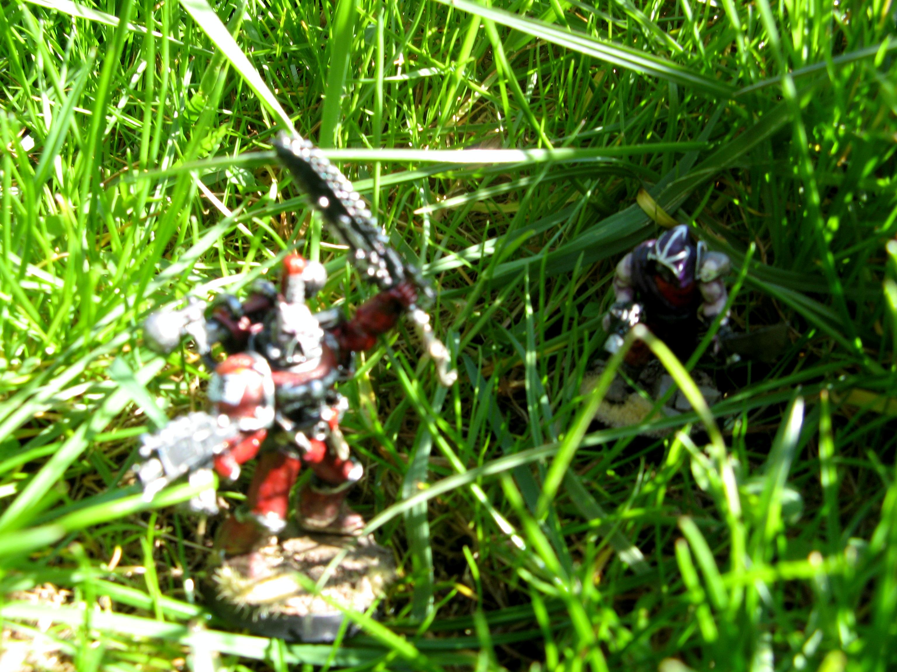 Chaos, Cultists, The Undergrowth