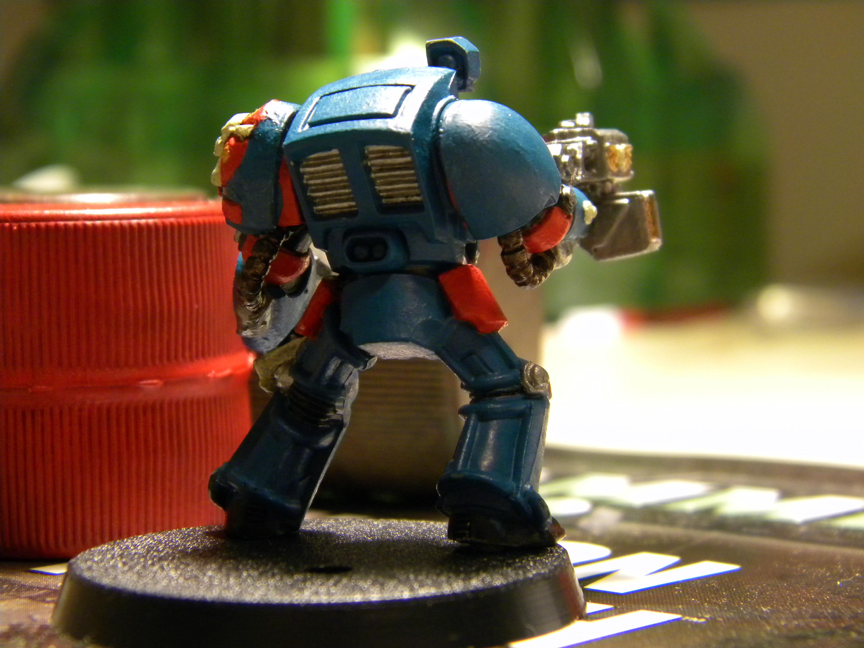 Space Marines, termie back