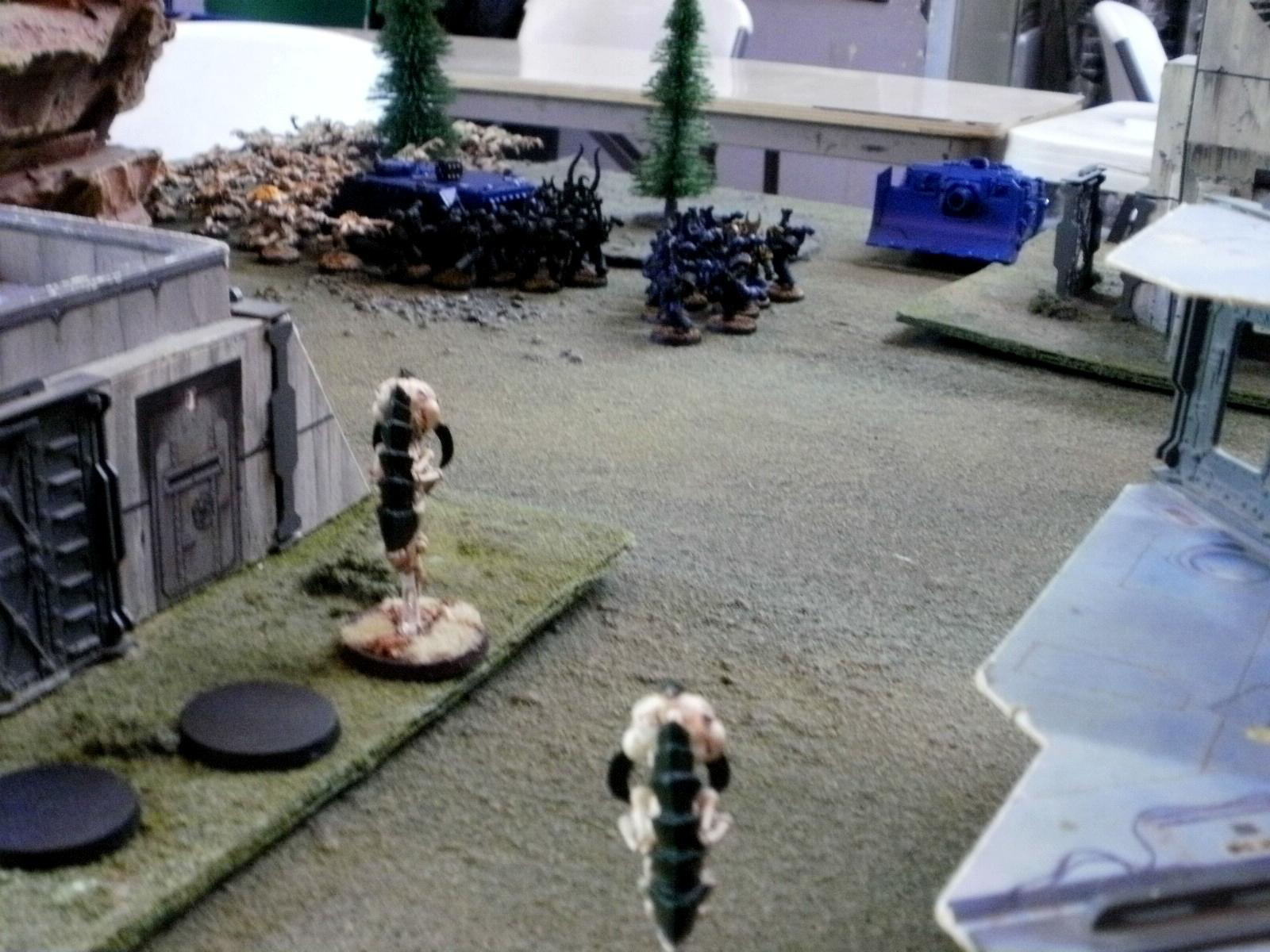 Nids turn 3 west
