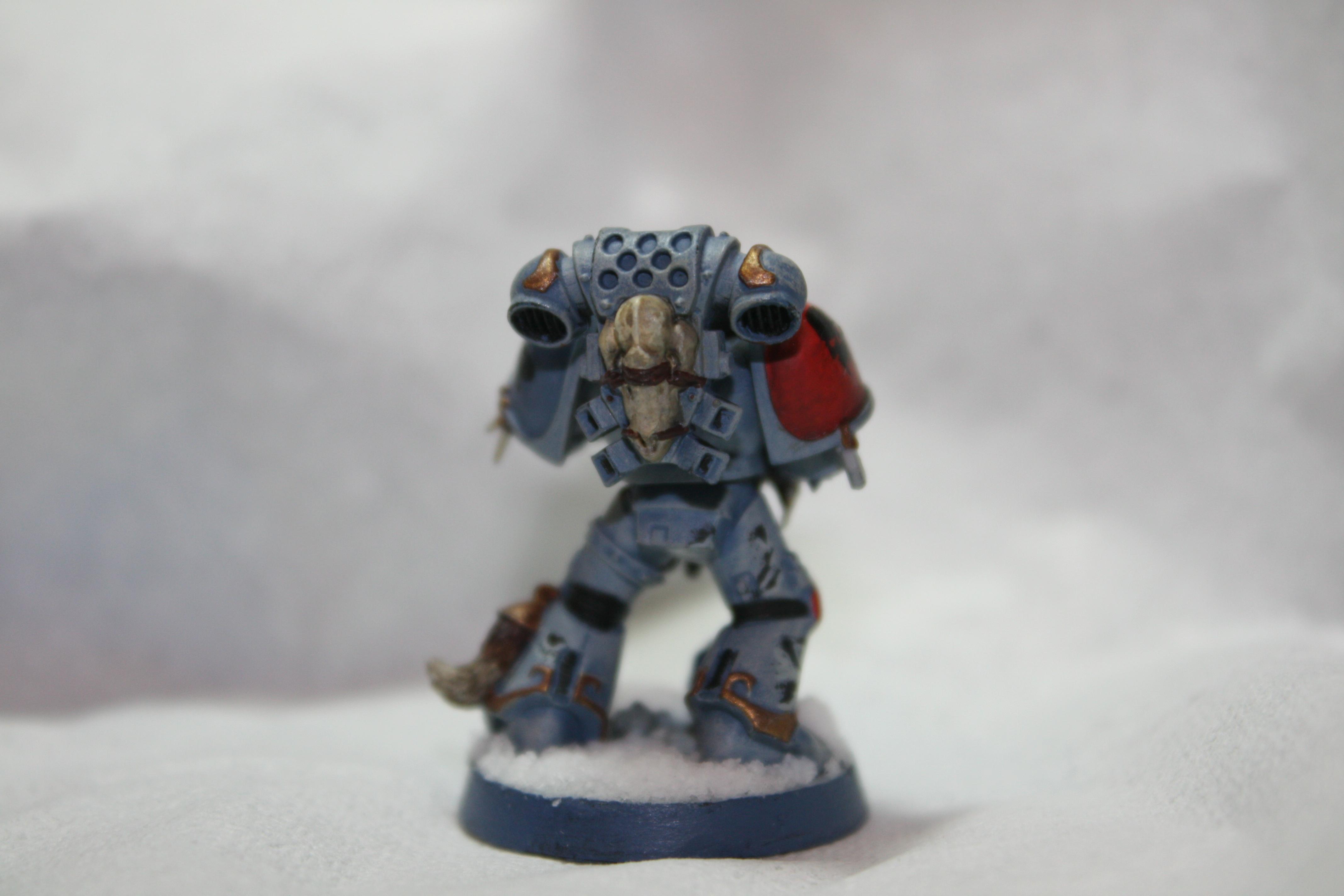 Space Wolves, Warhammer 40,000