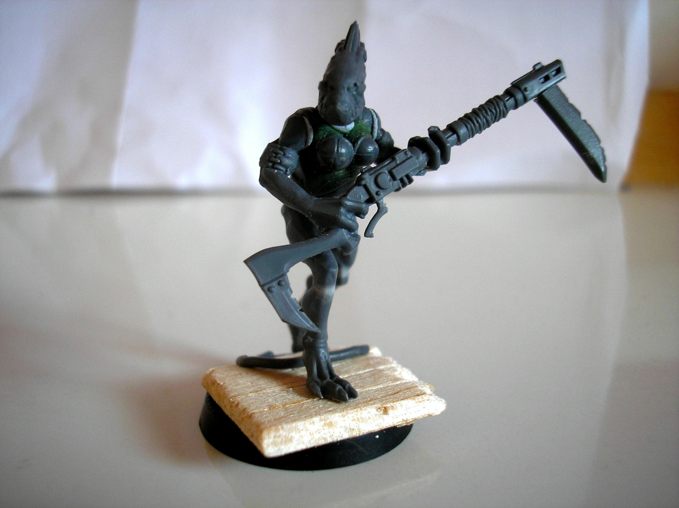 Female Kroot