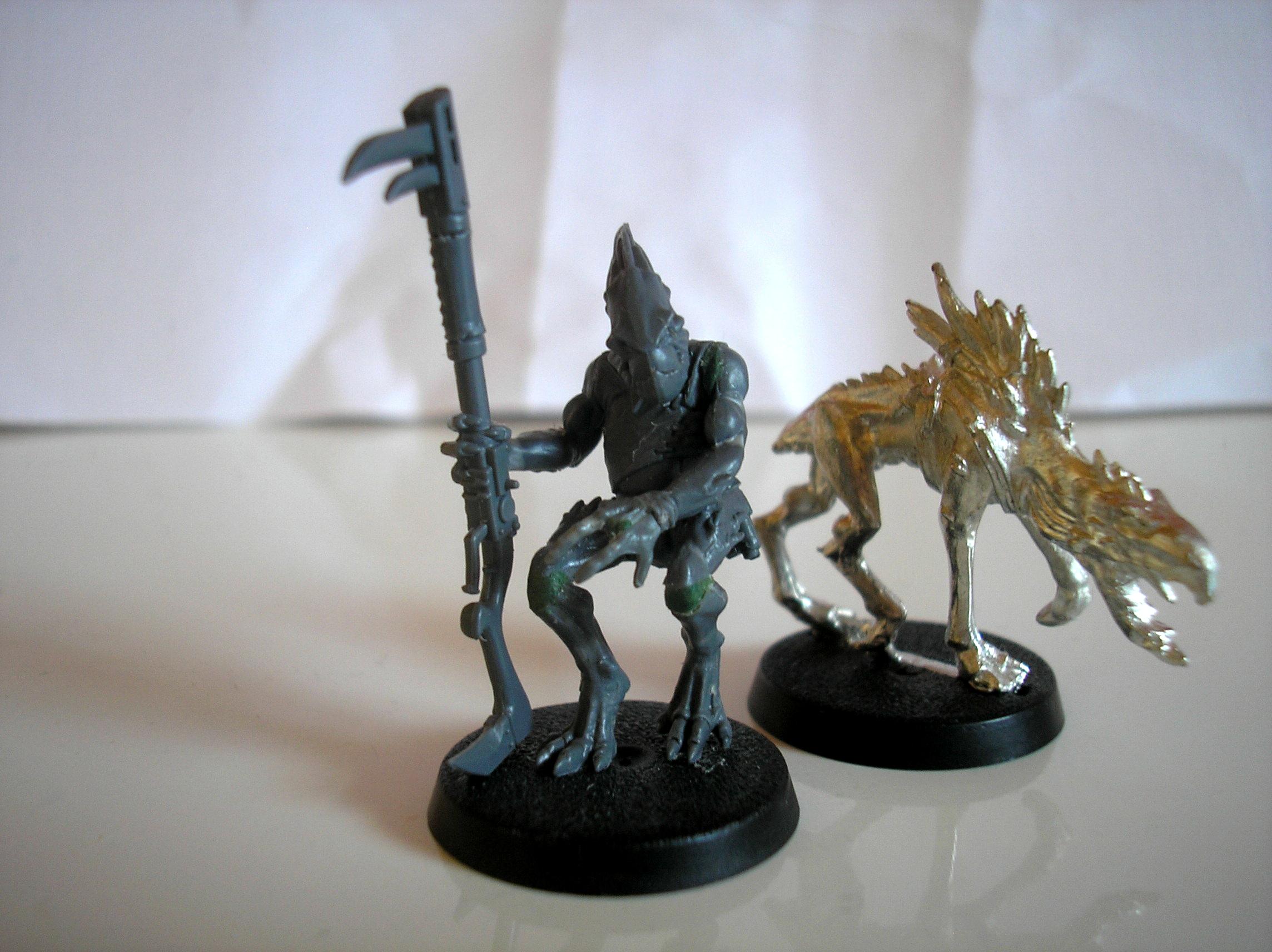 Kroot hunter