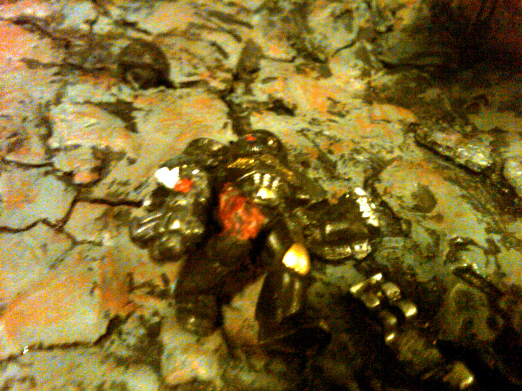 Warhound Titan - Dead BlackTemplars detail