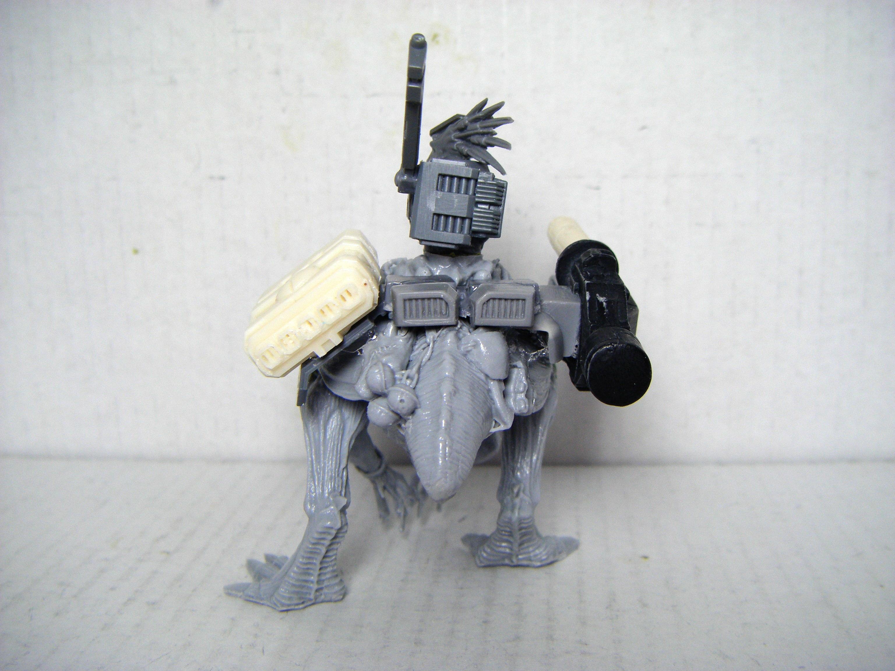 Kroot, Krootox, Tau, Warhammer 40,000