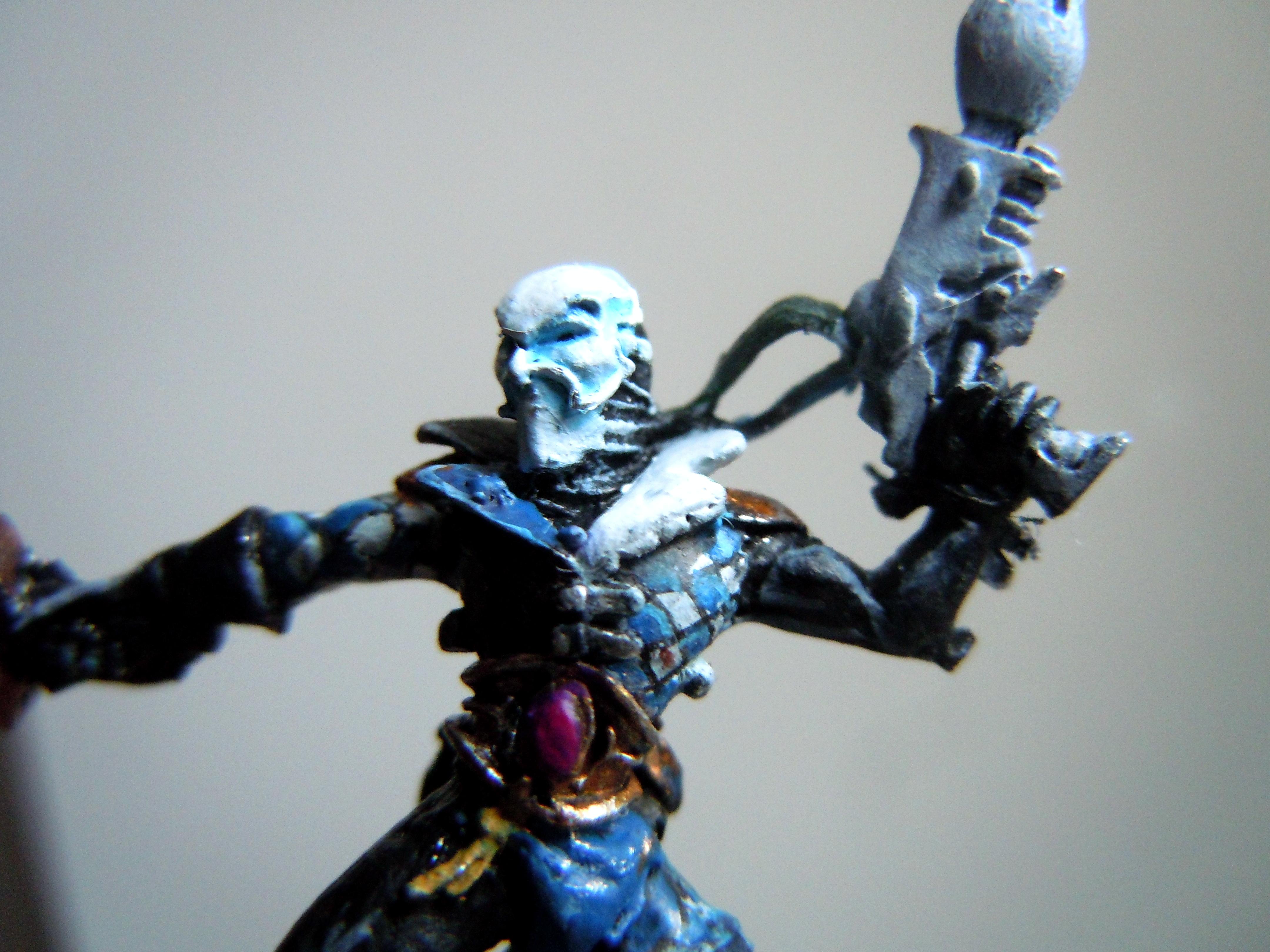 Harlequins