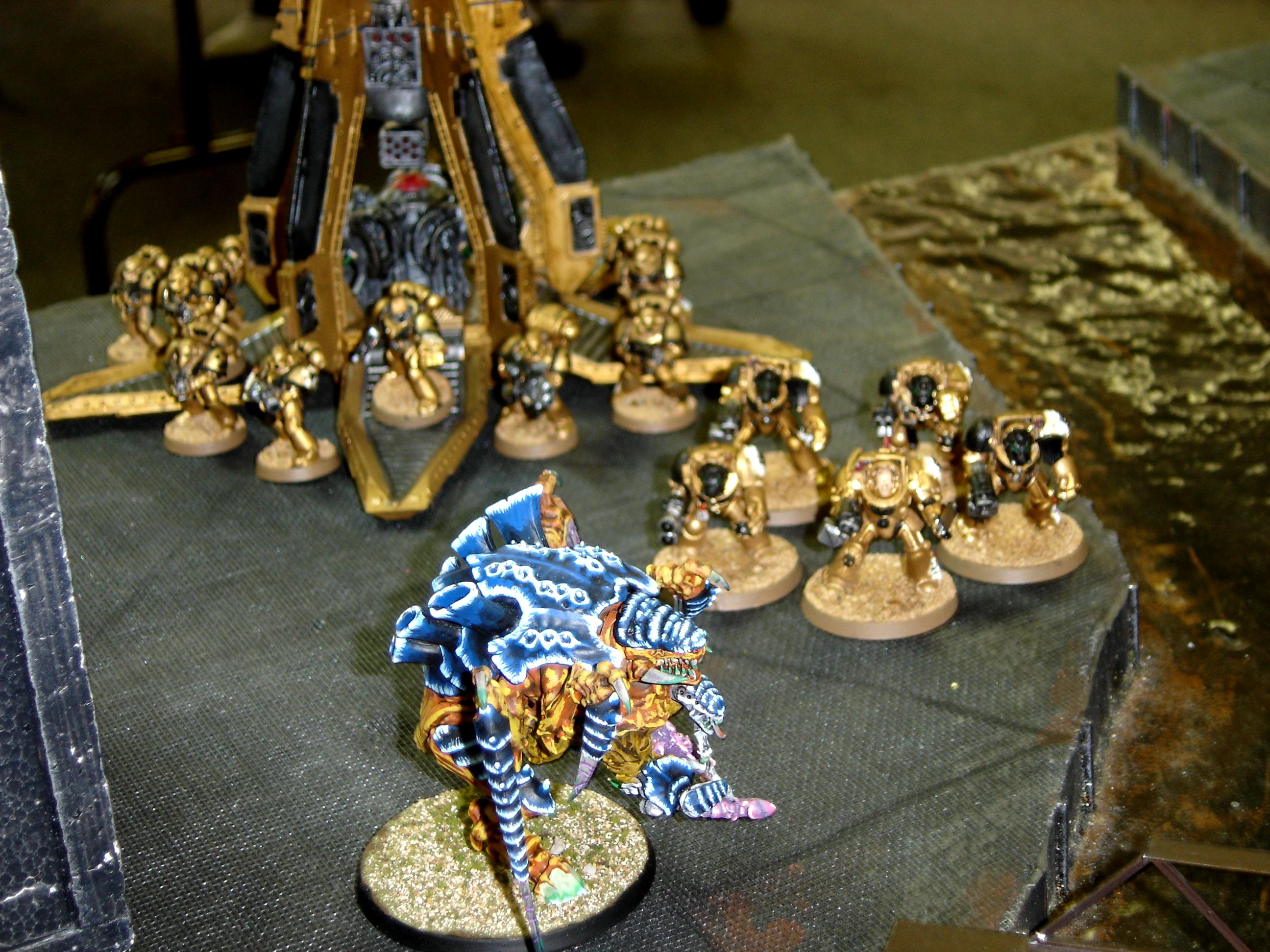 Drop Pod, Space Marines, Tyranids
