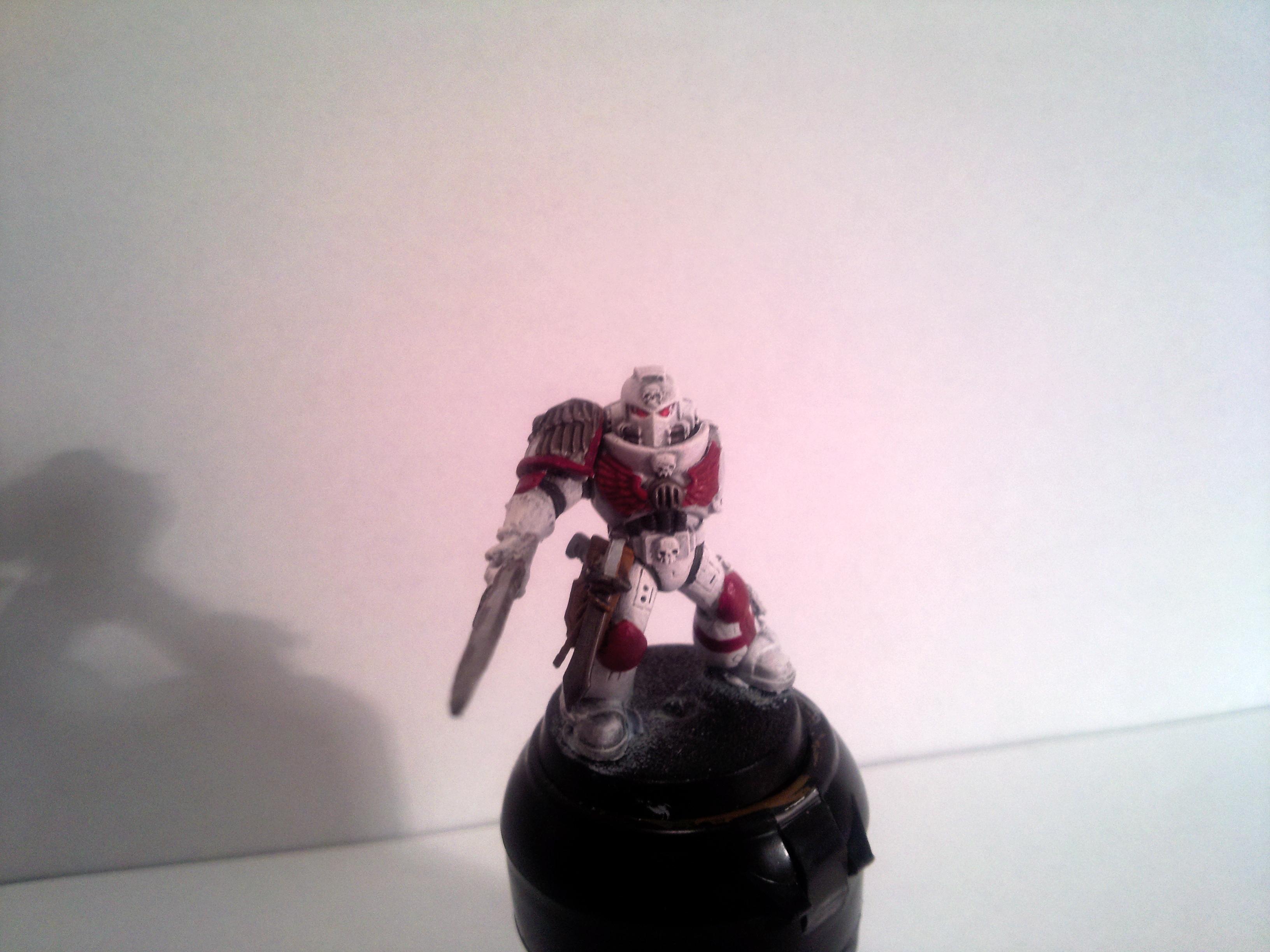 champion wip