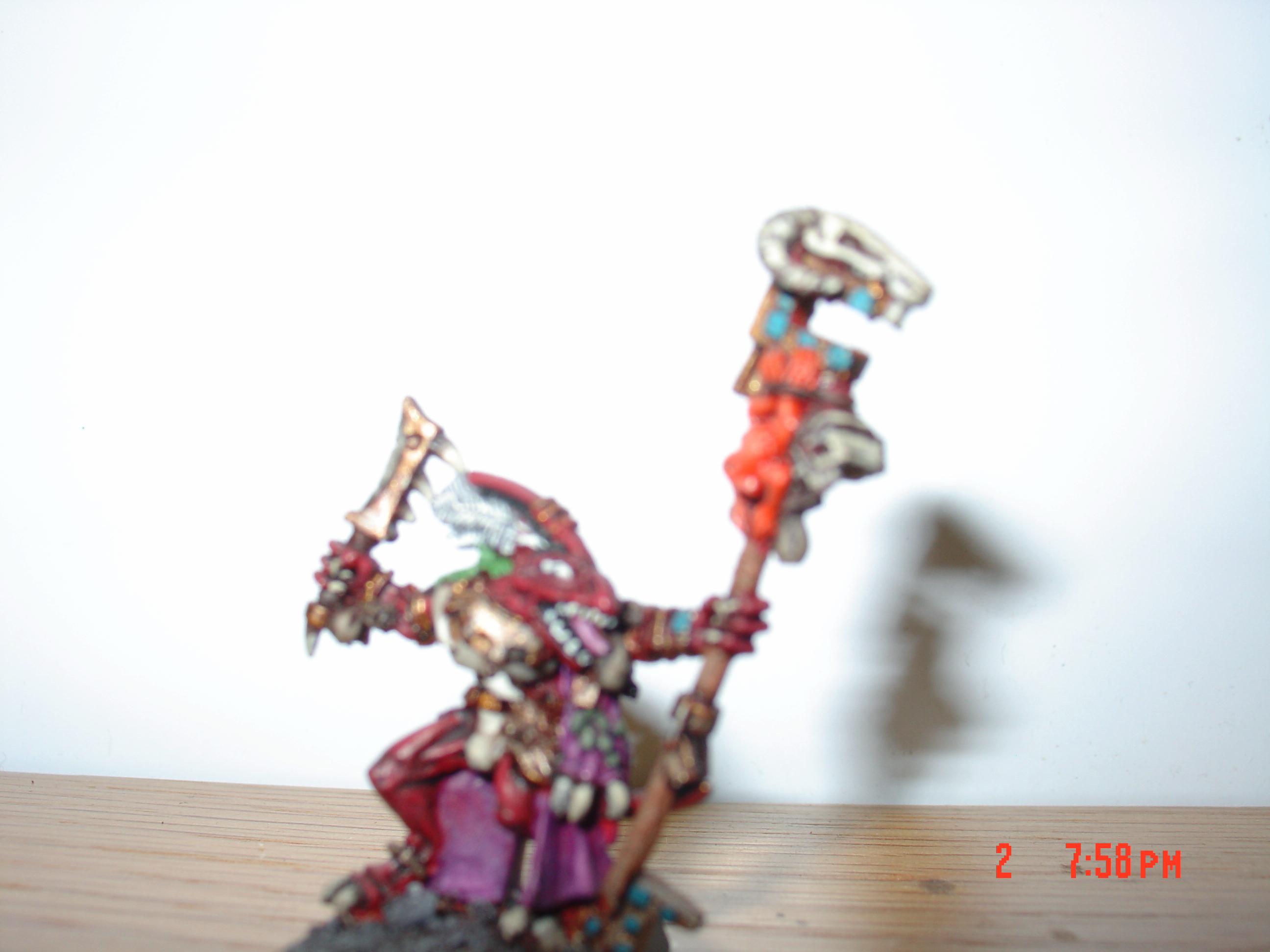 Skink Shaman