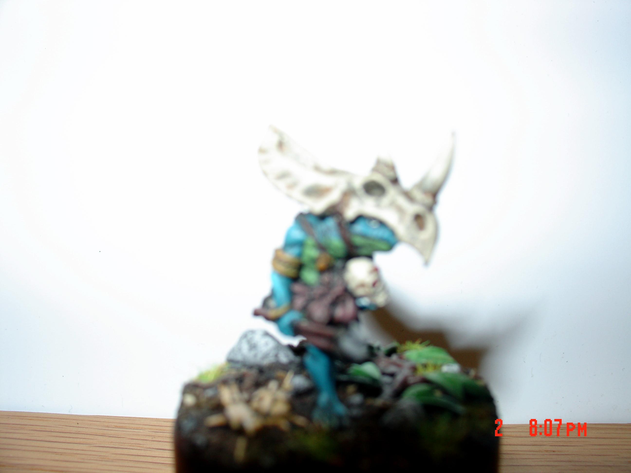 Skink Shaman