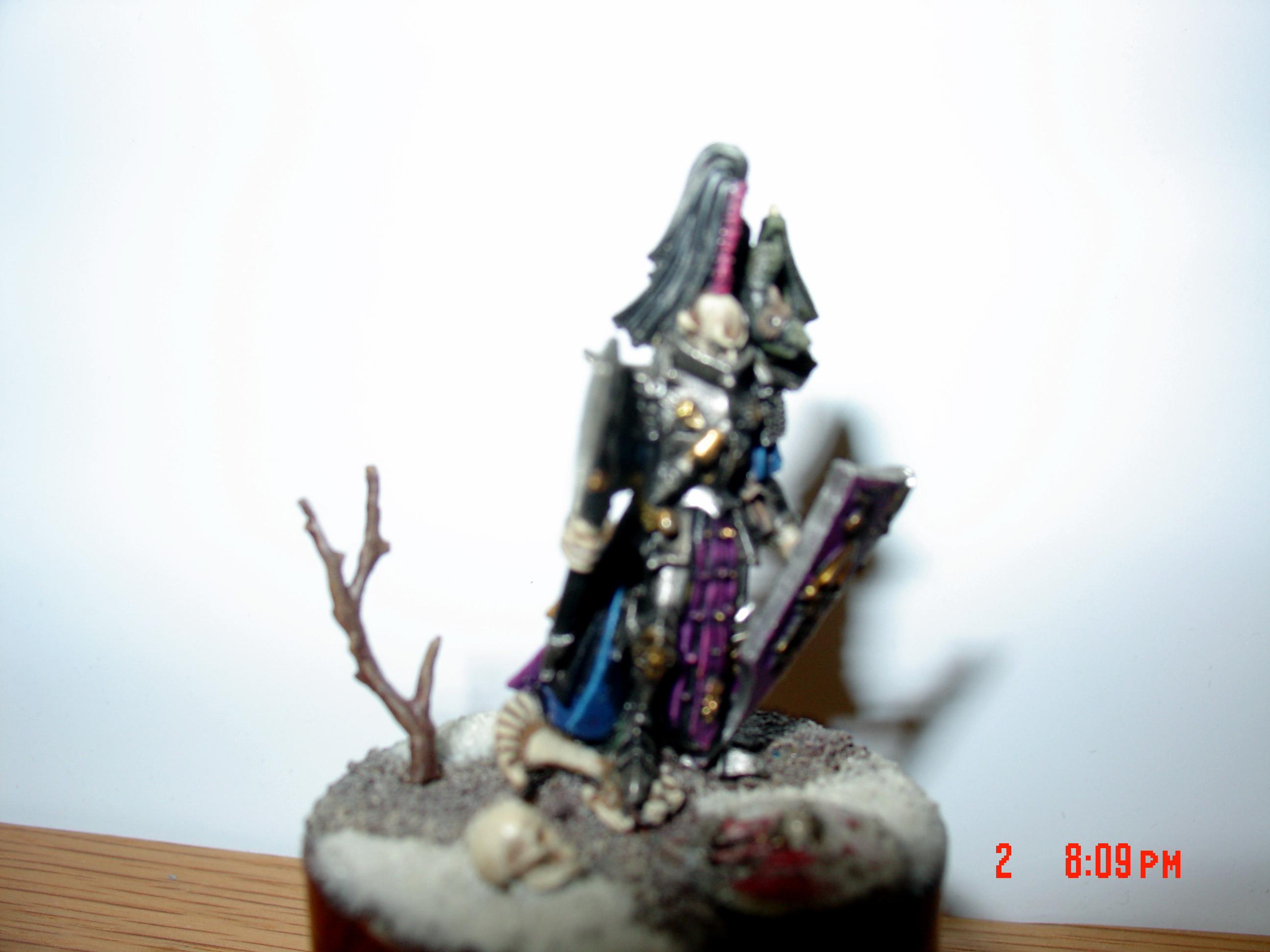 Drak Elf Dreadlord