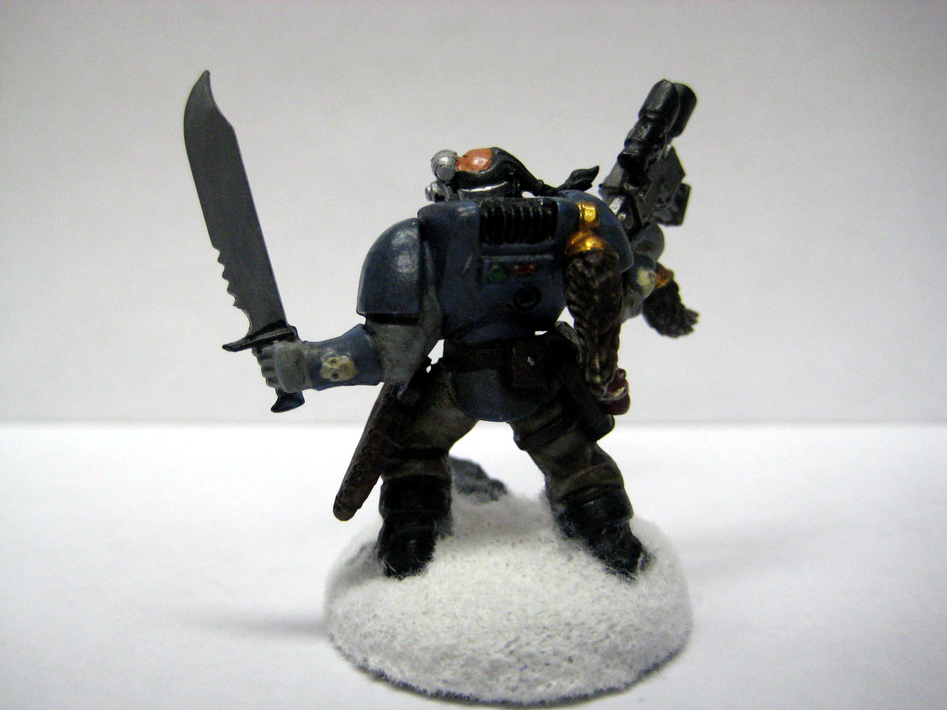 Scouts, Space Wolves