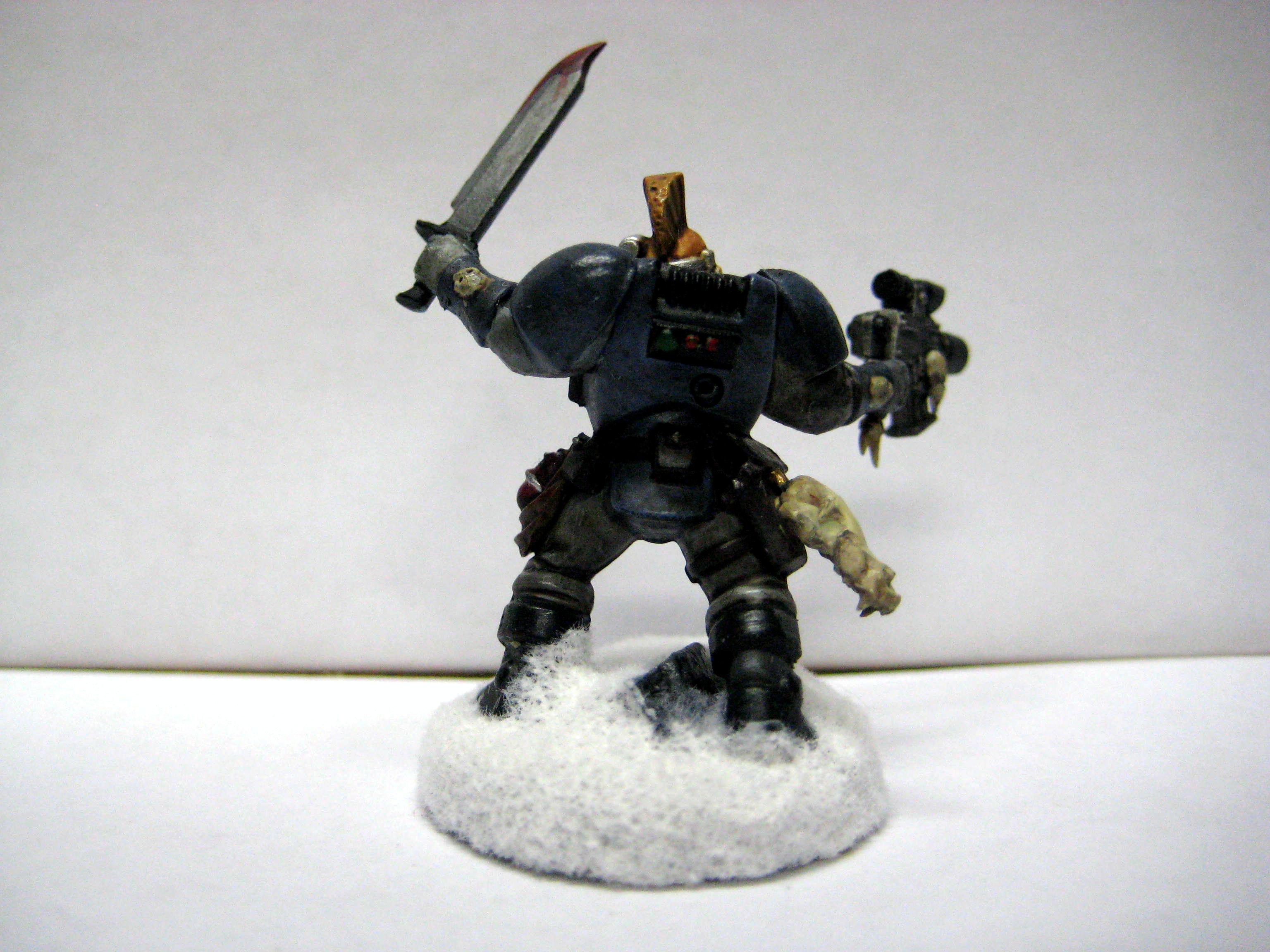 Scouts, Space Wolves