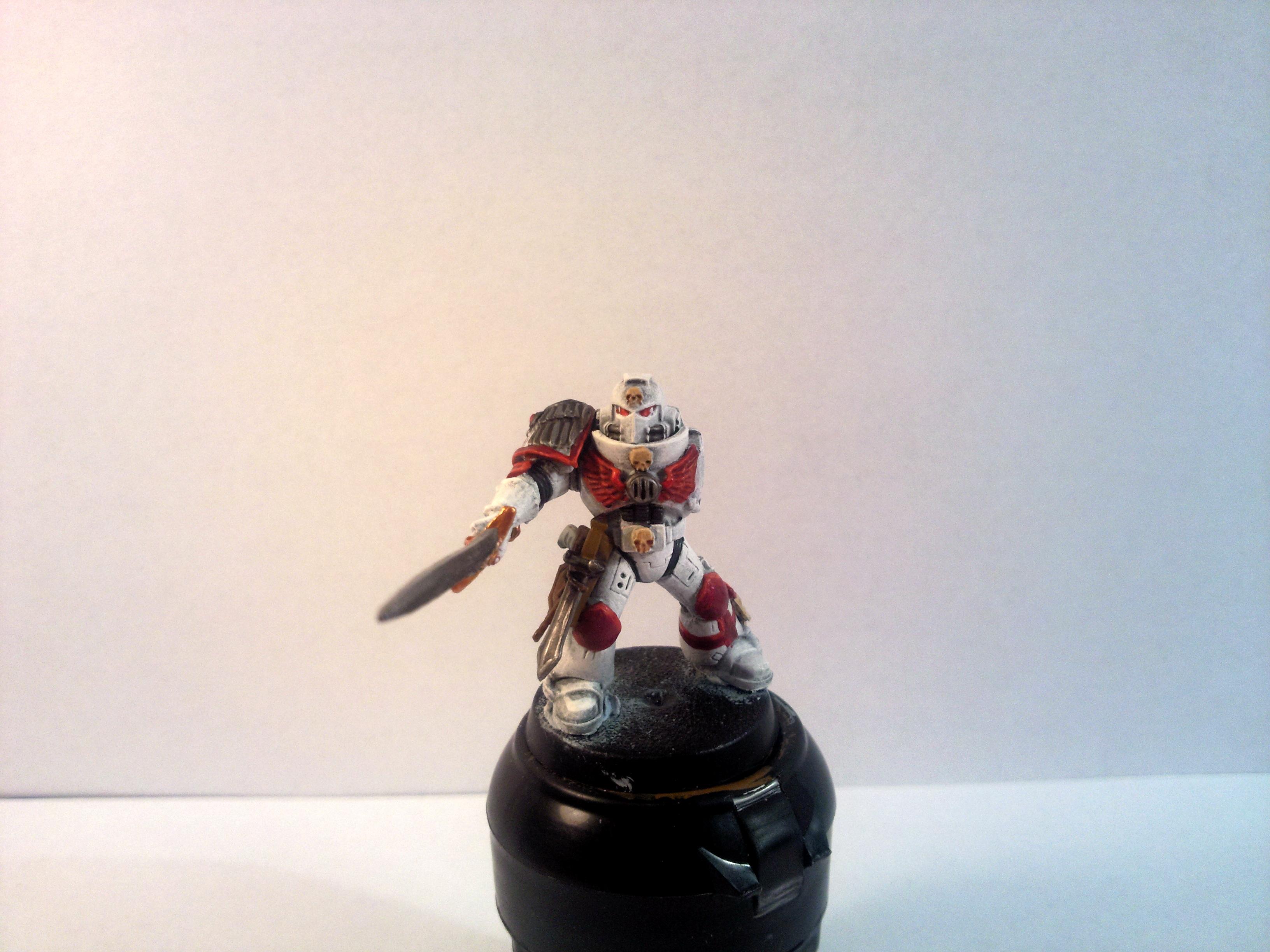 champion wip