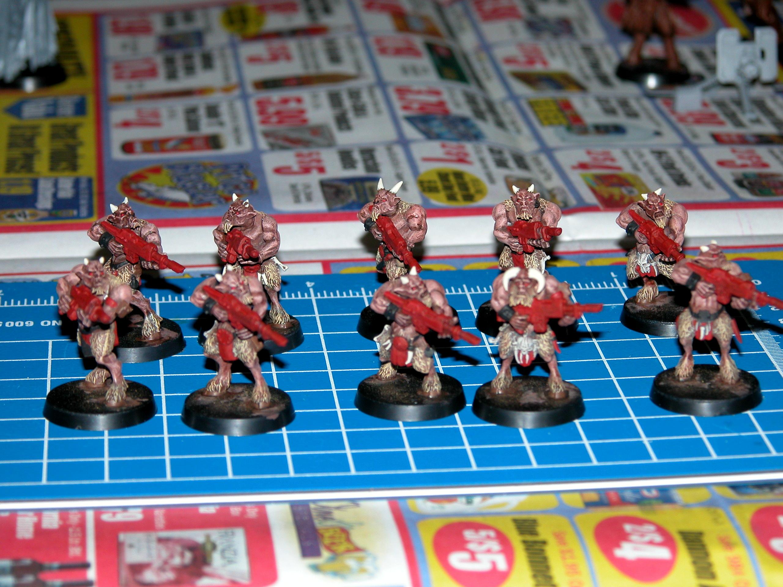Beastmen, Imperial Guard, Lost And The Damned