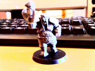 Imperial Guard, Ogres, Ogryns, Warhammer Fantasy