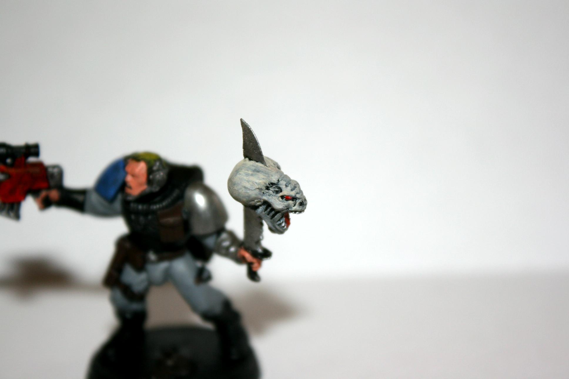 Scouts, Work In Progress