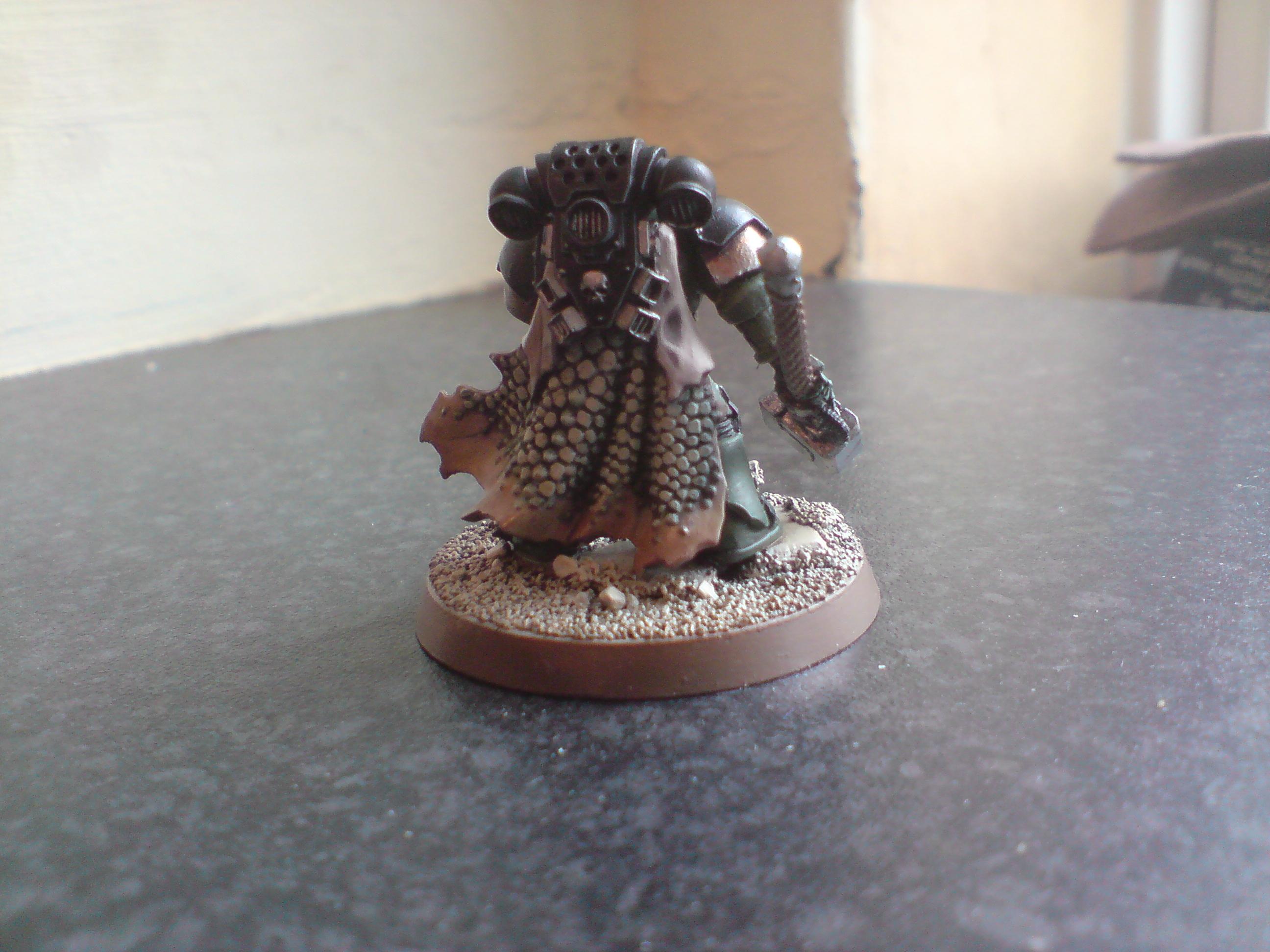 Salamanders, Work In Progress
