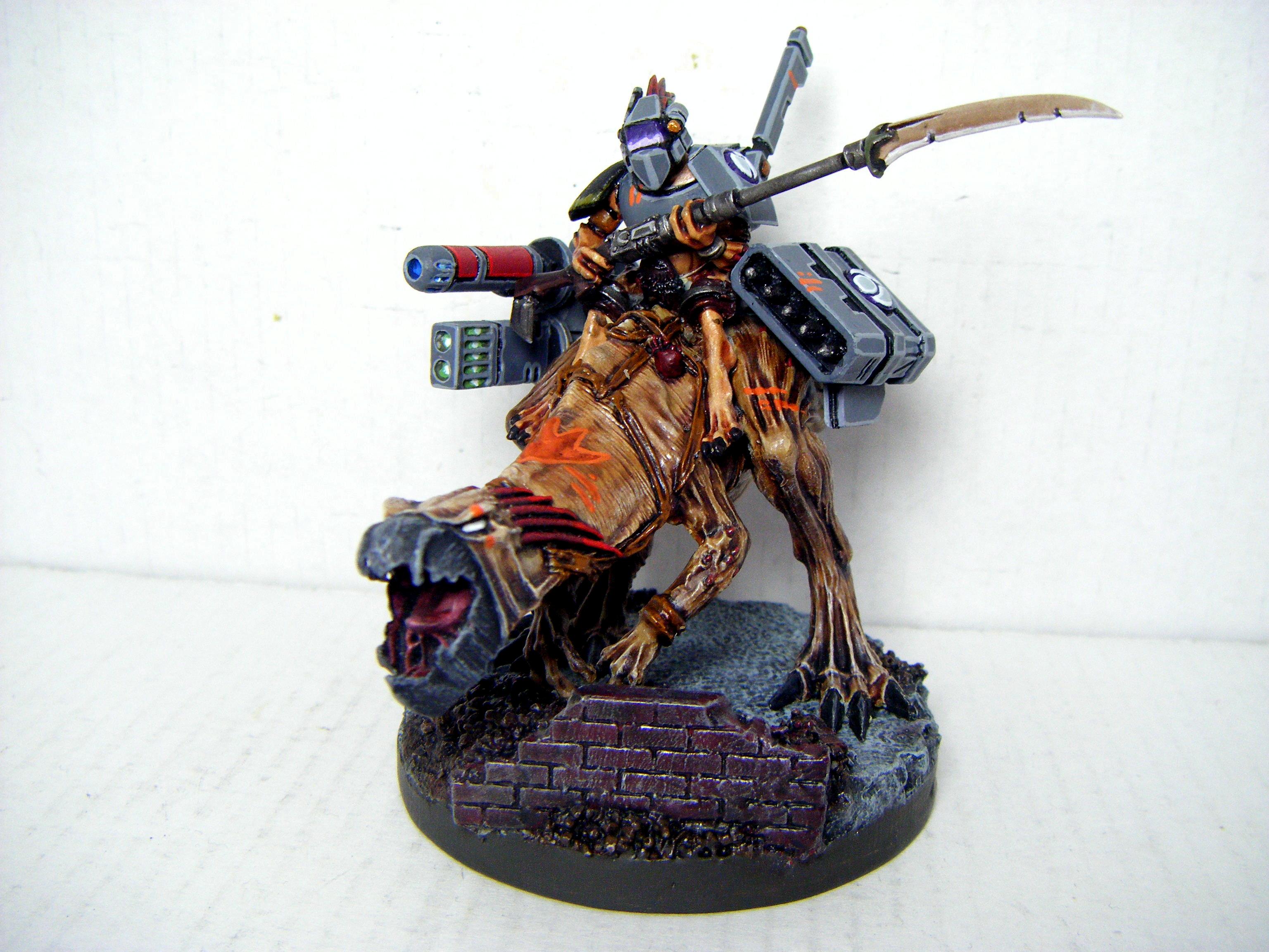 Kroot, Kroot Rider, Tau