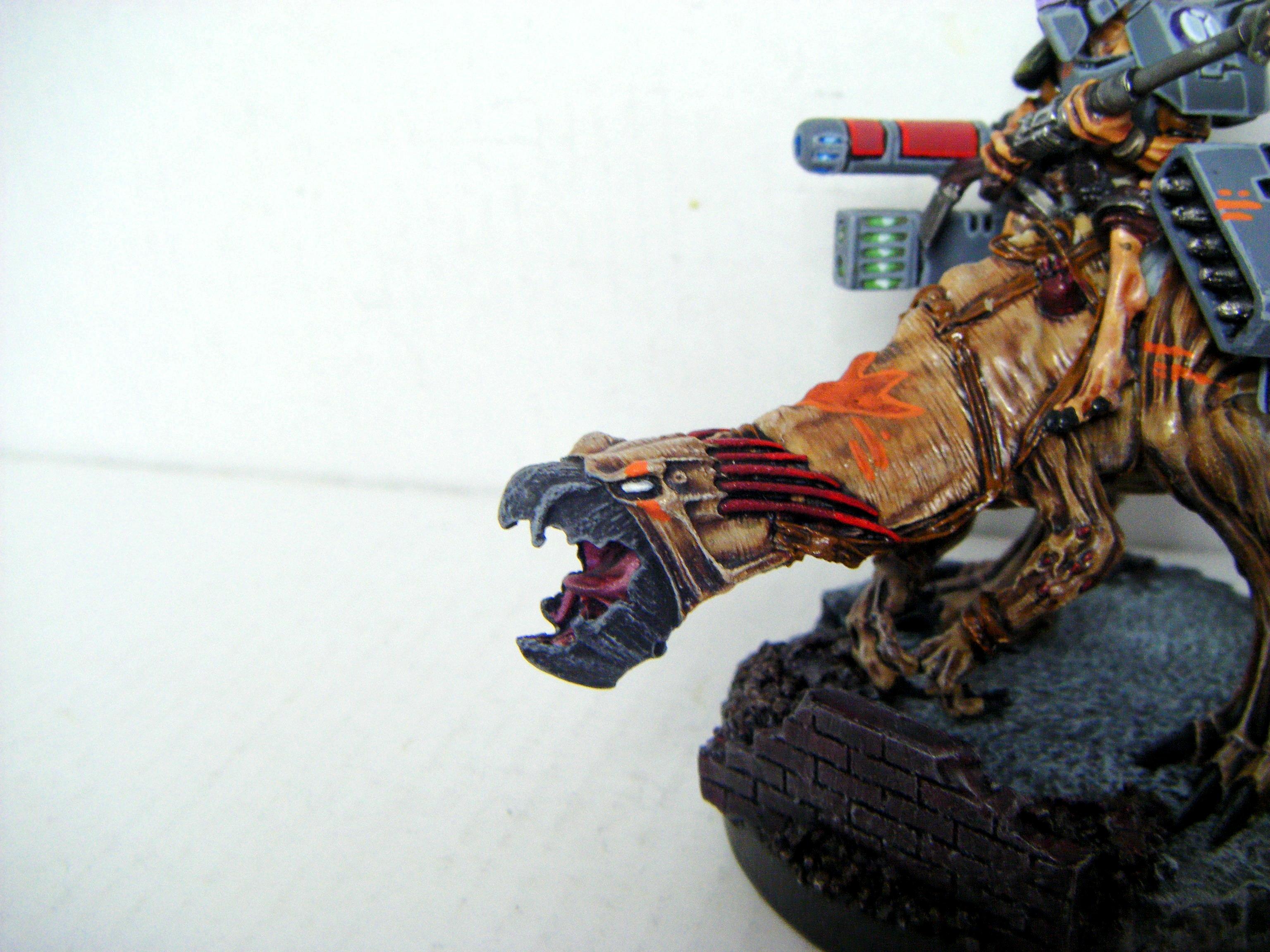Kroot