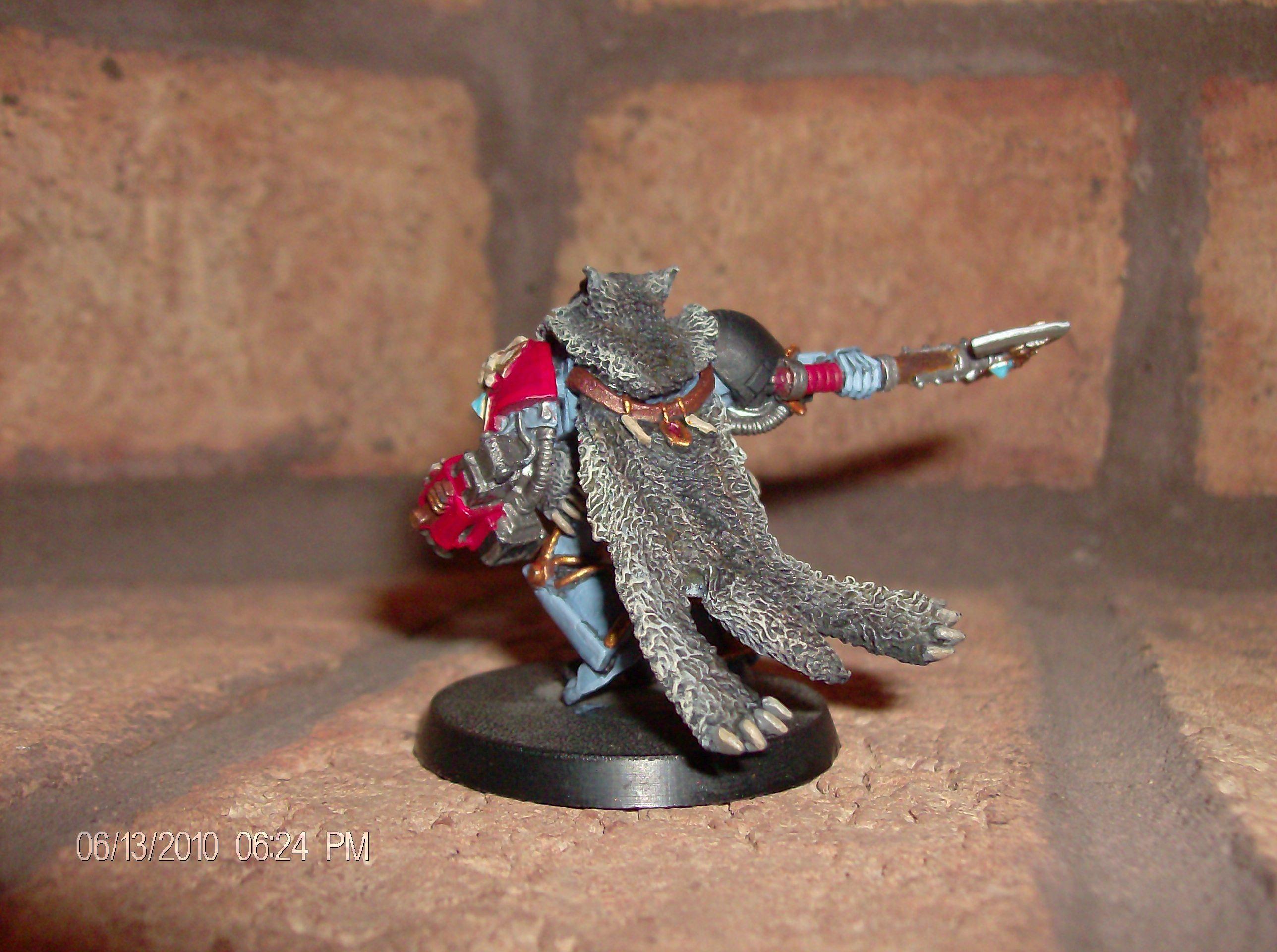 Grimnar, Logan, Space Wolves, Warhammer 40,000