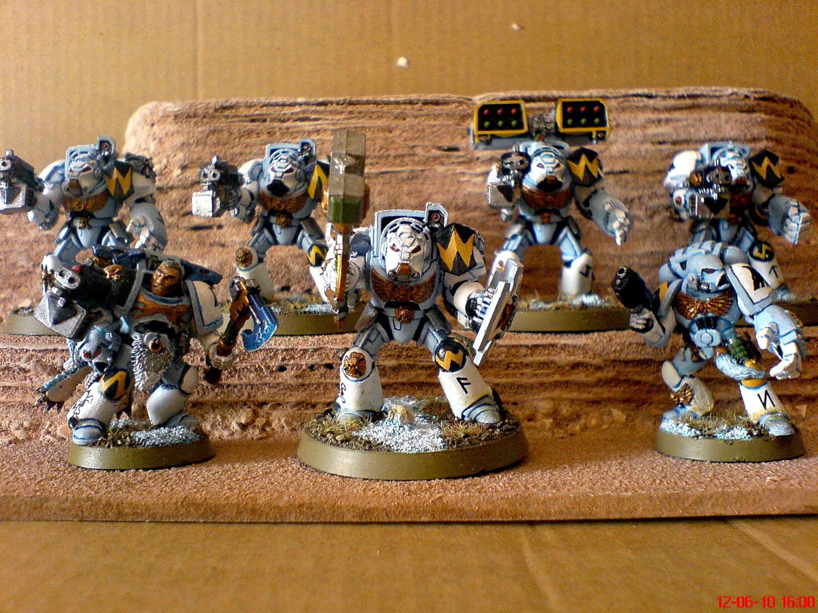 Wolf Guard Squad