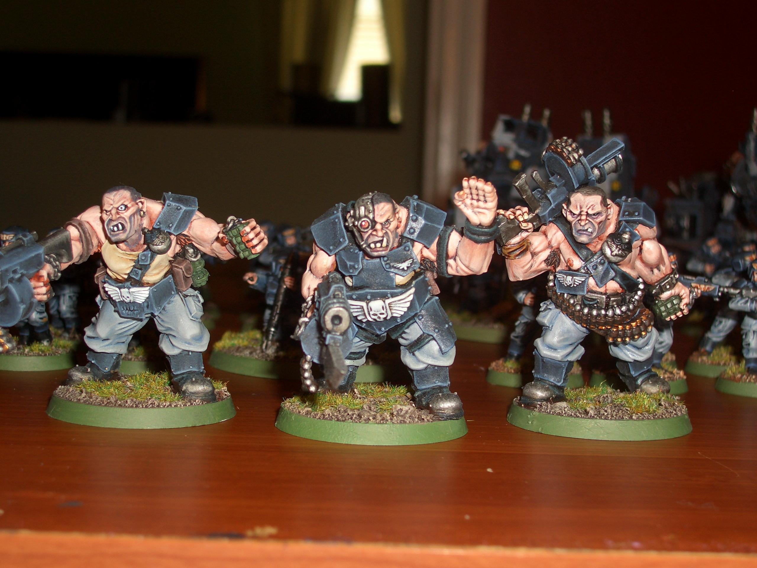 Imperial Guard, Ogryns