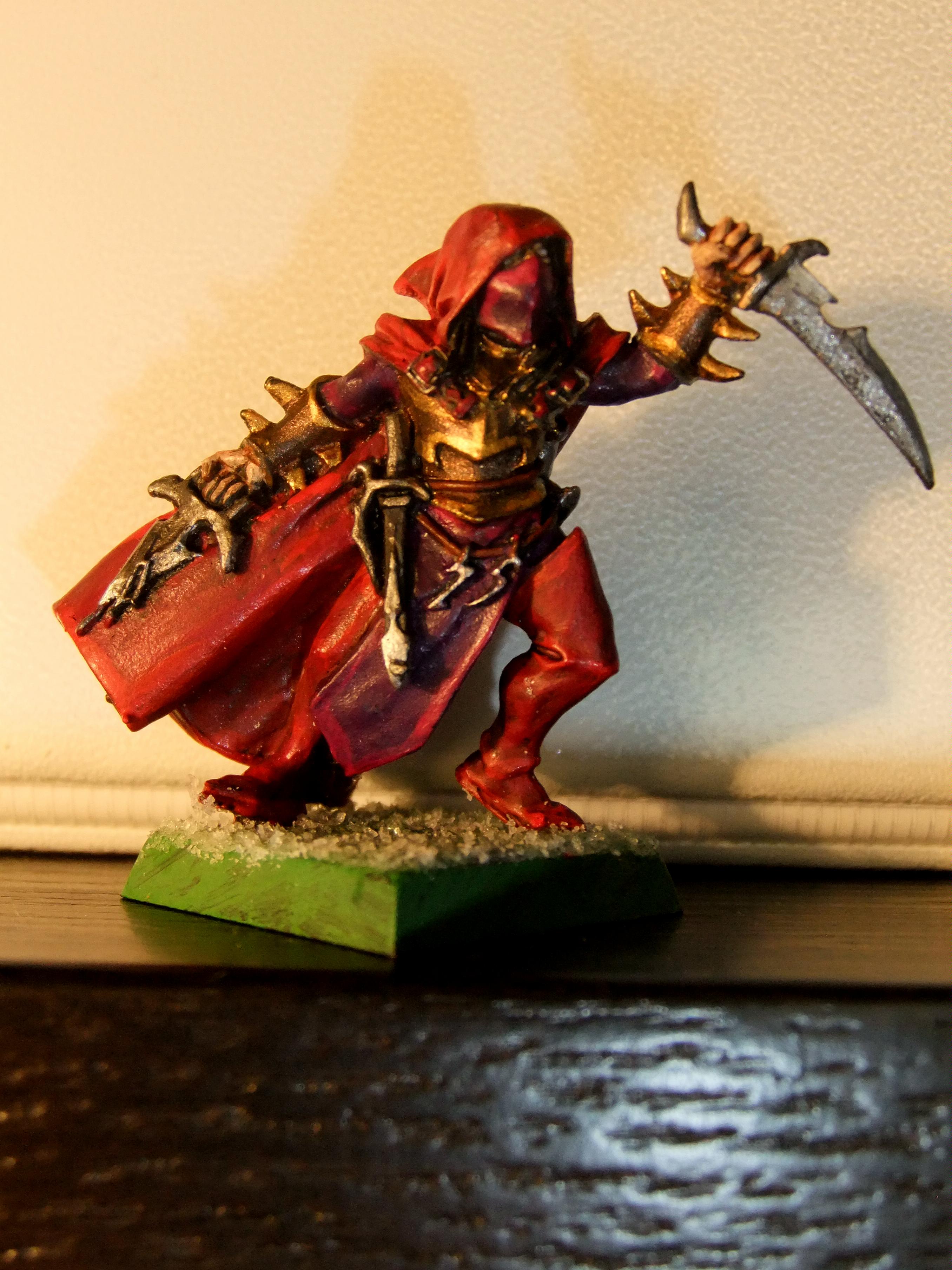 Dark Elves, Dark Elf Assassin