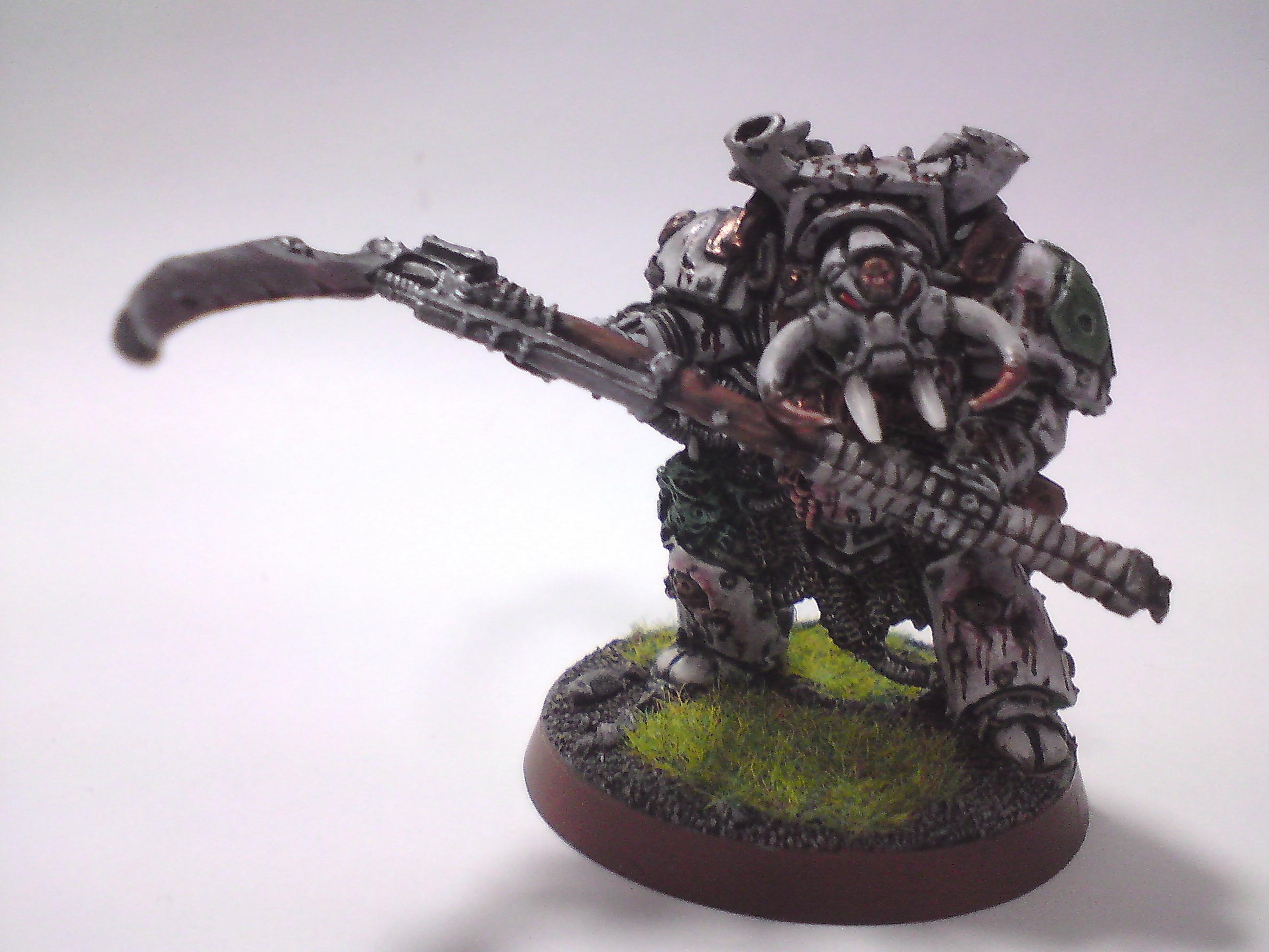 Typhus