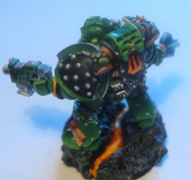 Salamanders veteran
