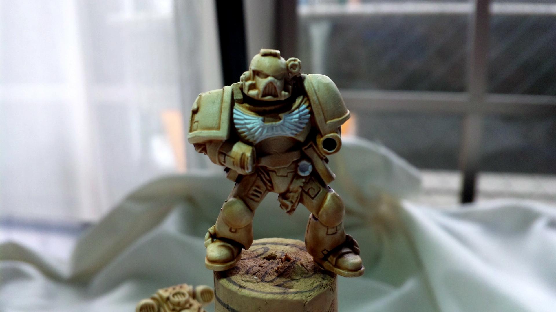 Gryphonne Sepia Marine