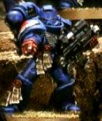 Unknown Crimson Fist