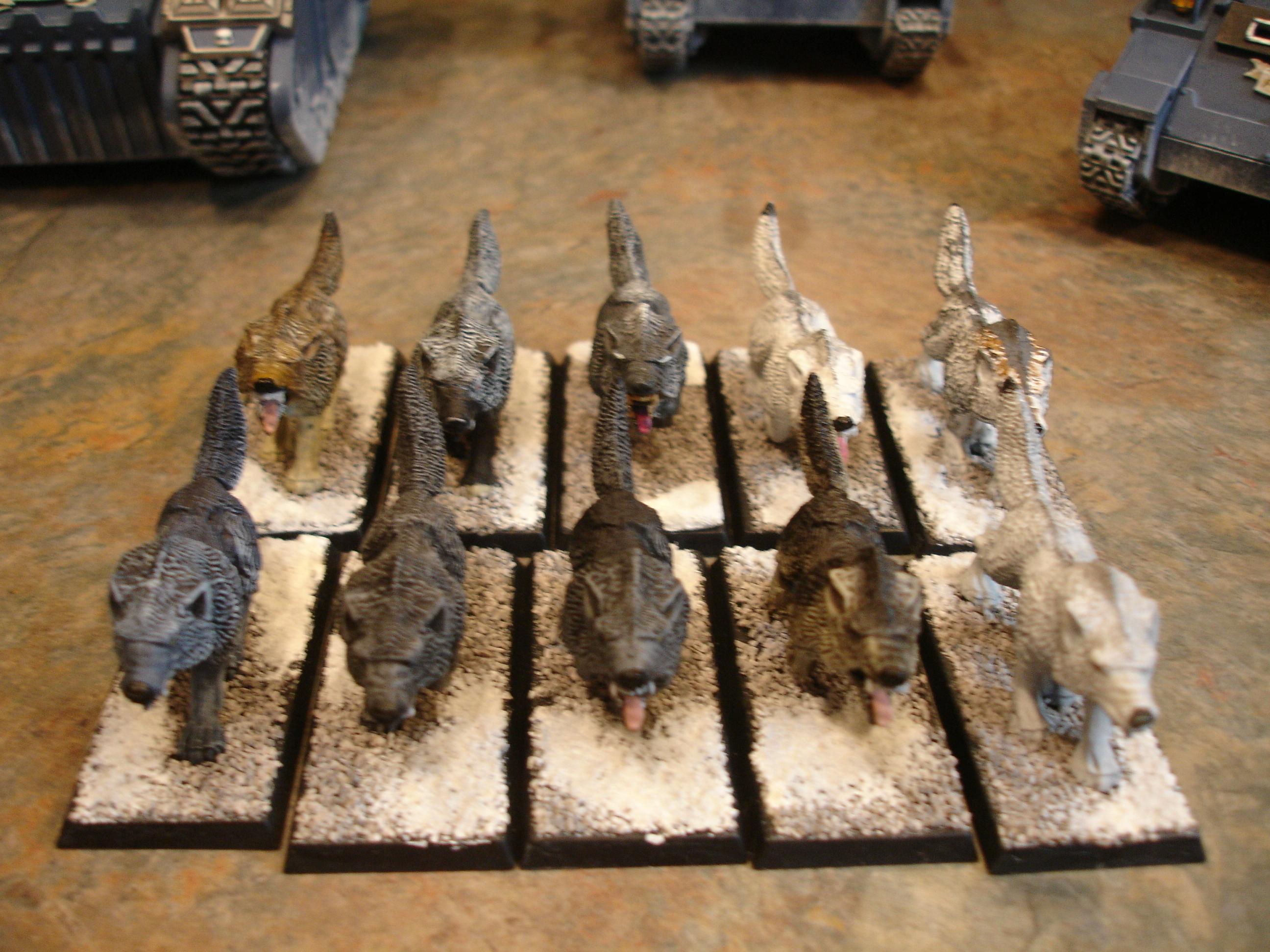 Fenrisian Wolf Squad