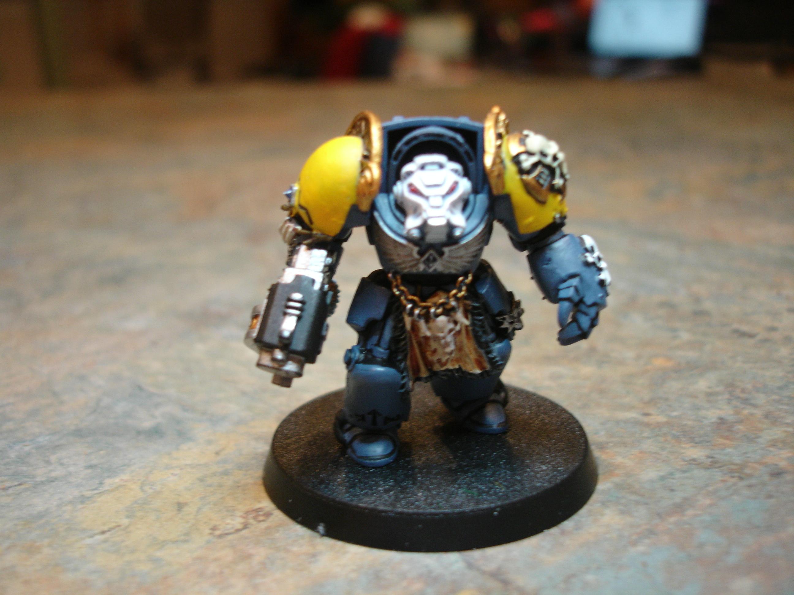 Wolf Guard in TDA 2