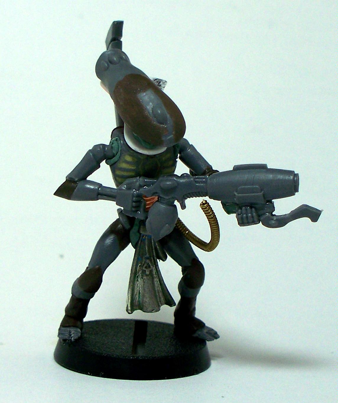 Eldar, Warhammer 40,000, Wraithguard