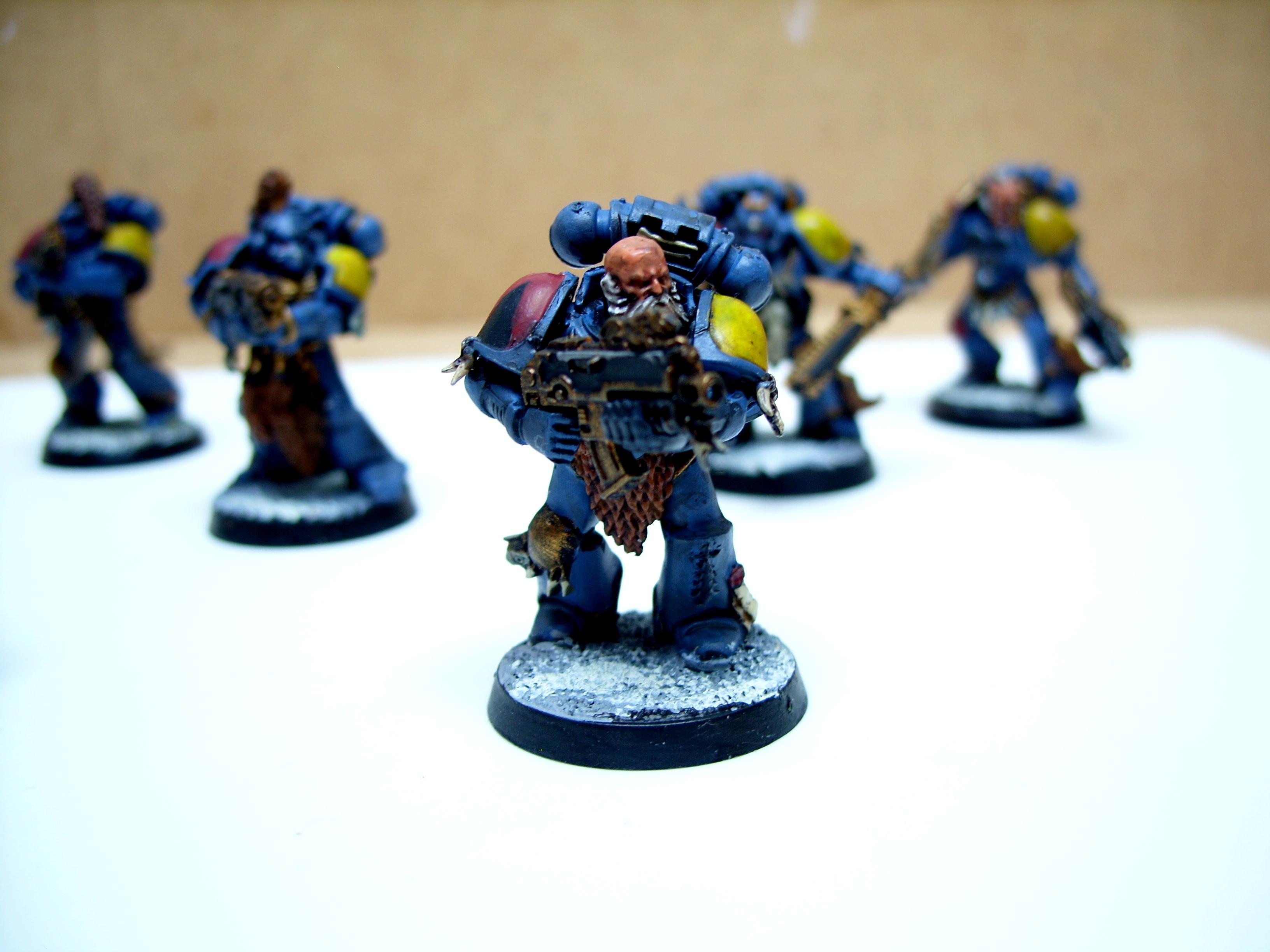 Grey Hunter, Space Wolves