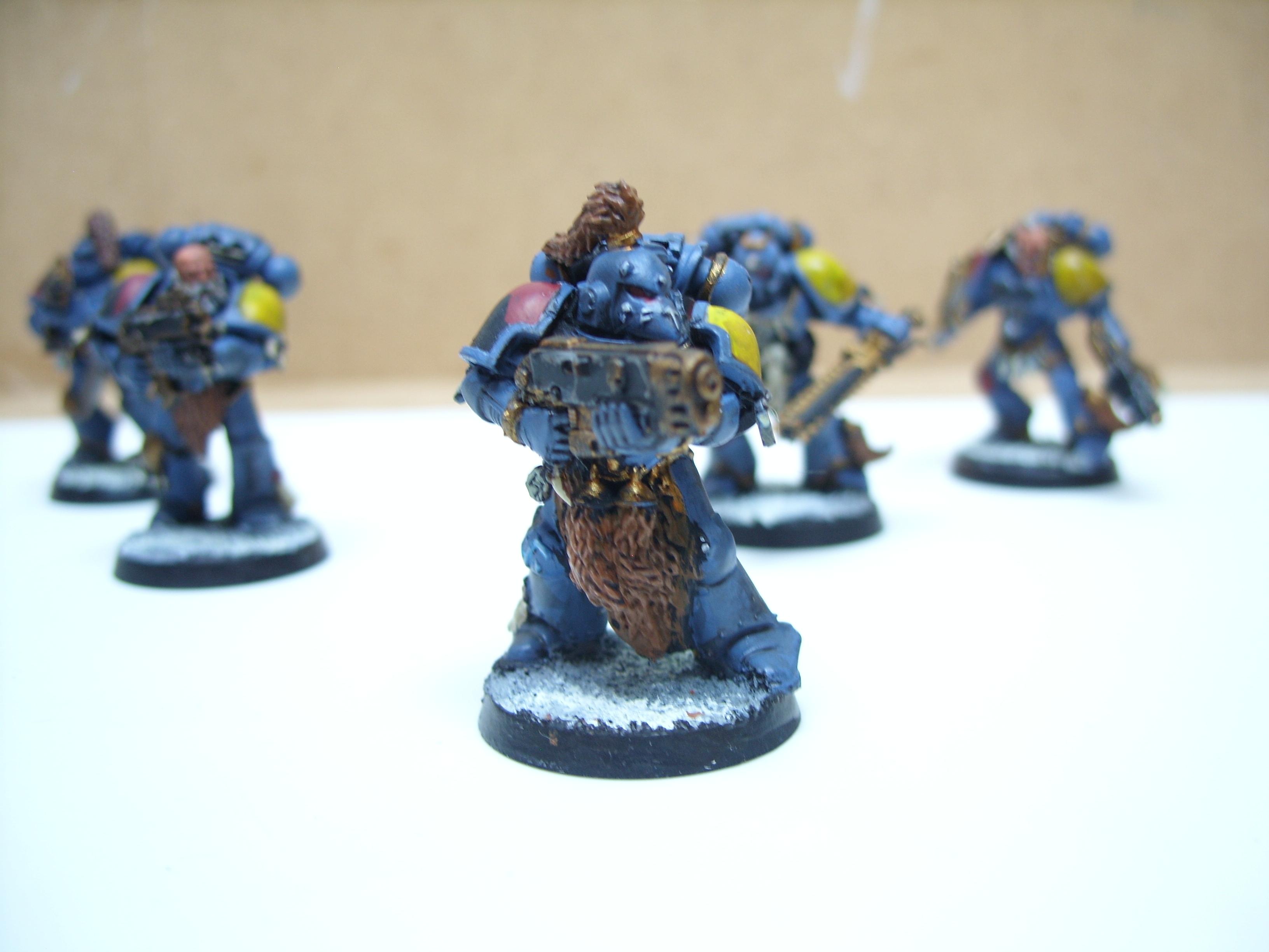 Grey Hunter, Space Wolves