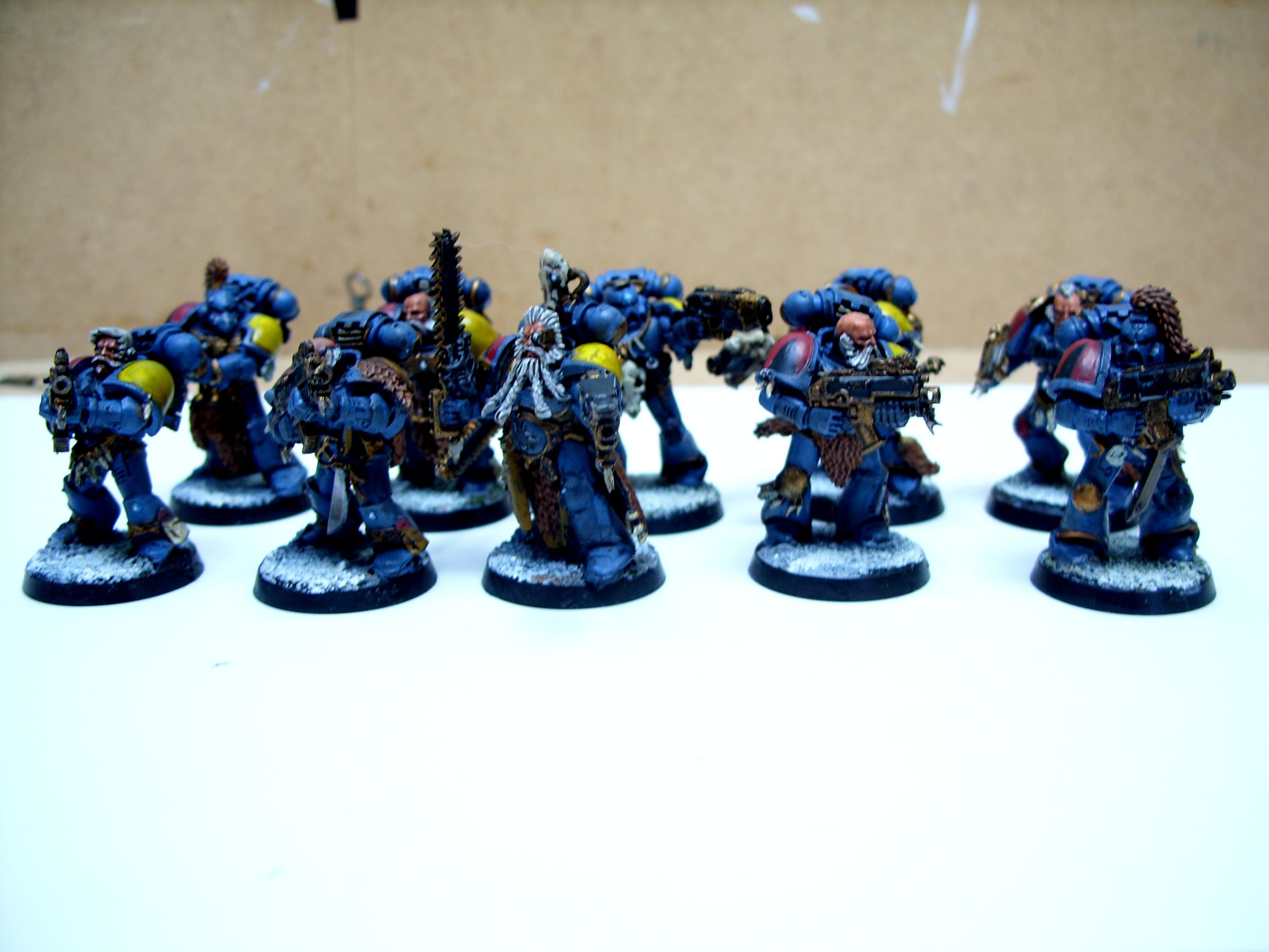 Grey Hunter, Space Marines, Space Wolves, Warhammer 40,000