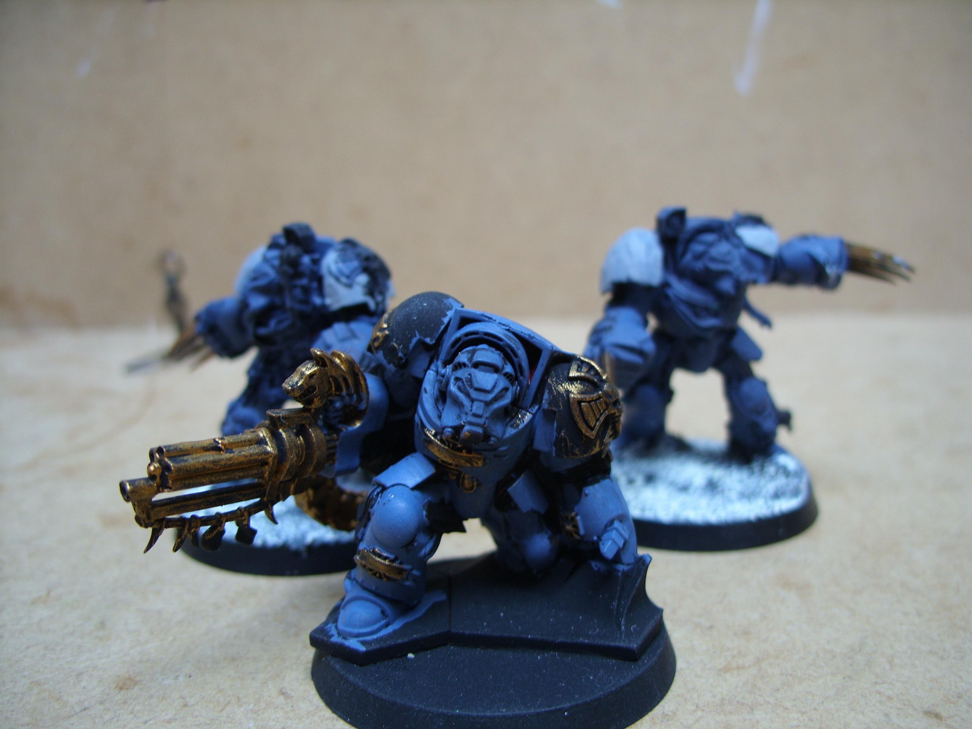 Space Wolves, Wolf Guard