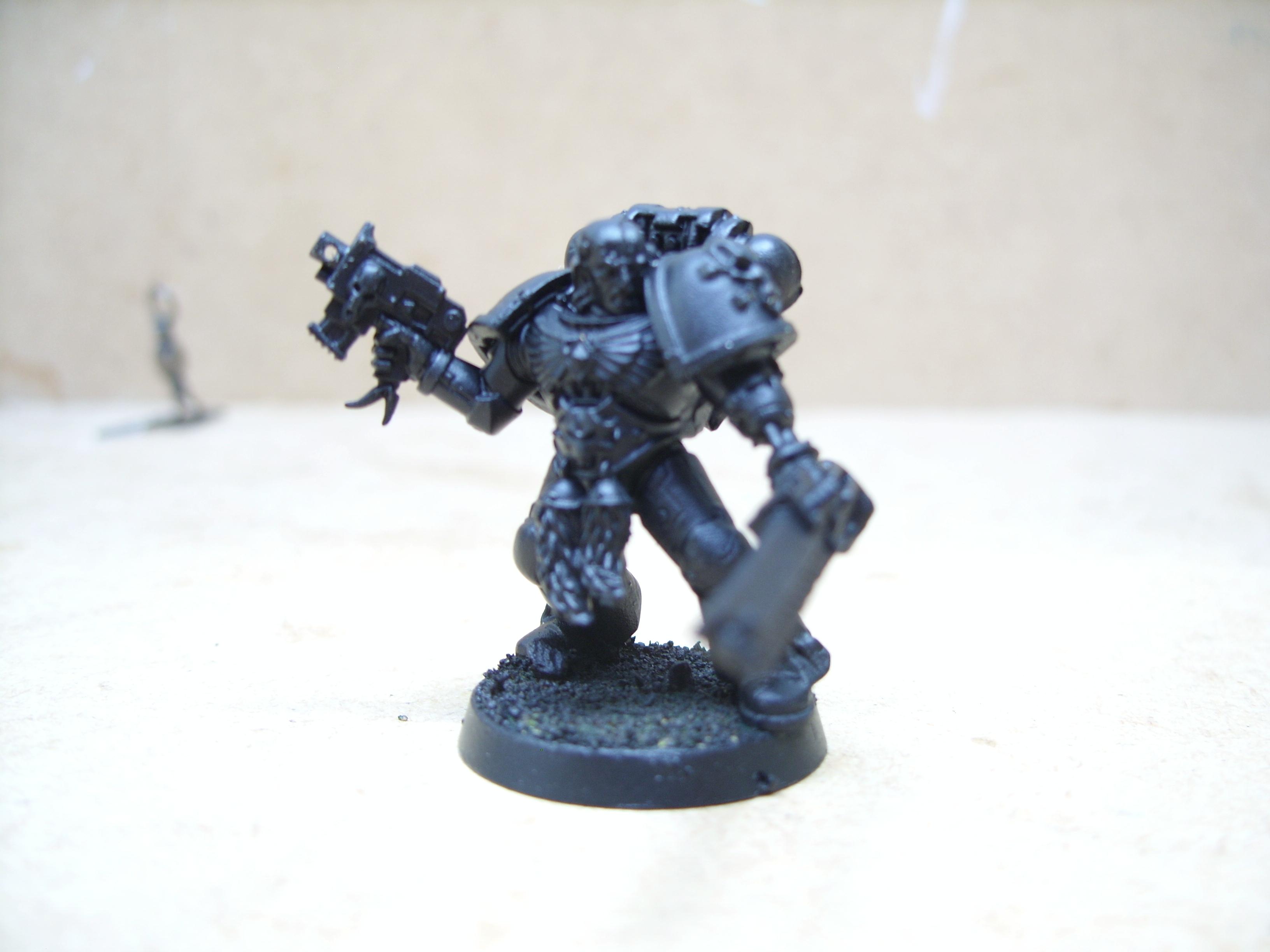 Space Wolves, Wolf lord/Wolfguard battle leader