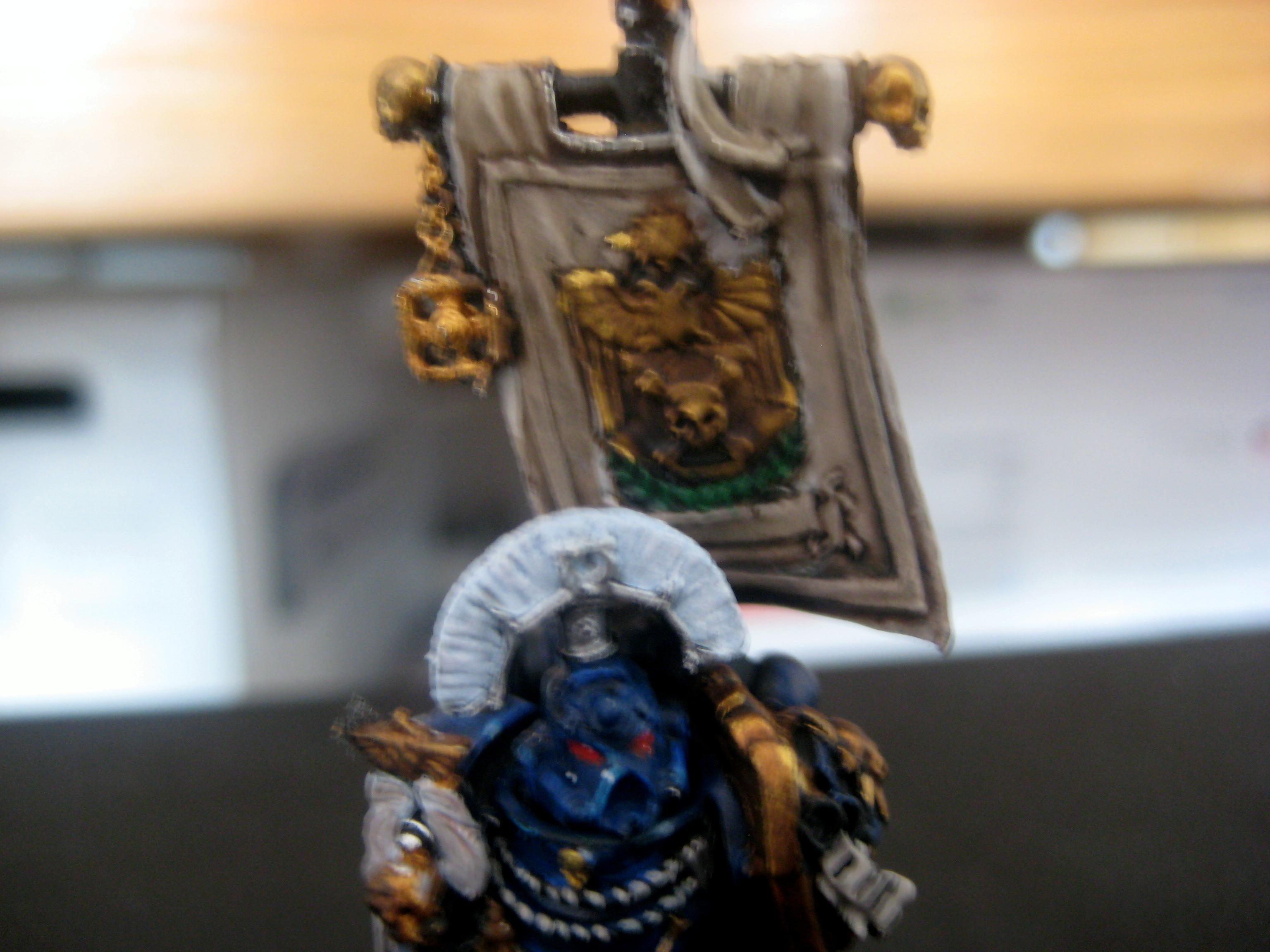 Sicarius